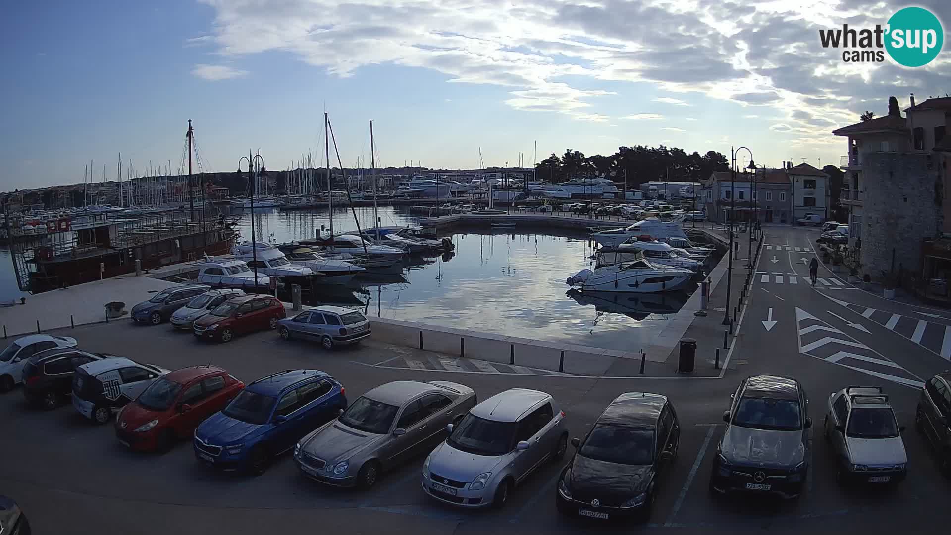 Novigrad | Porporela marina