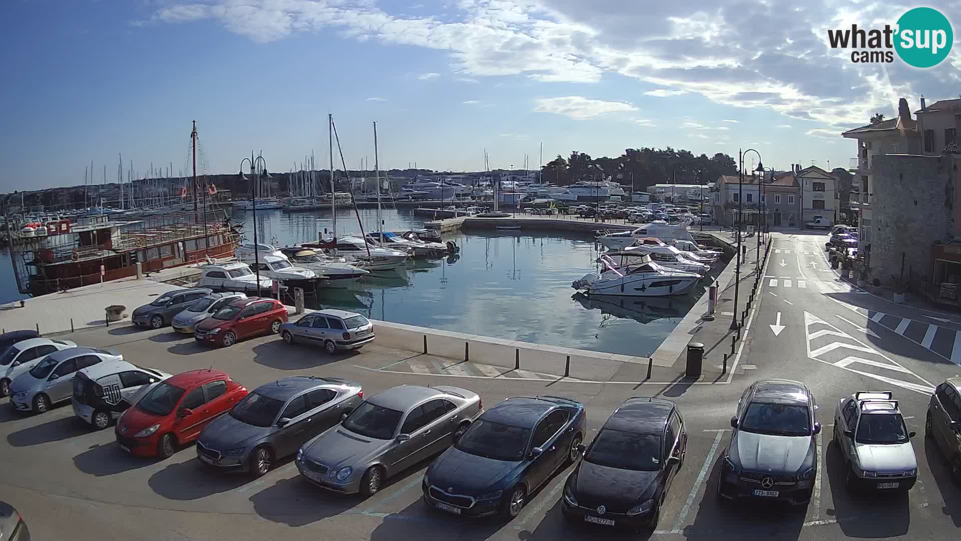 Novigrad | Porporela marina
