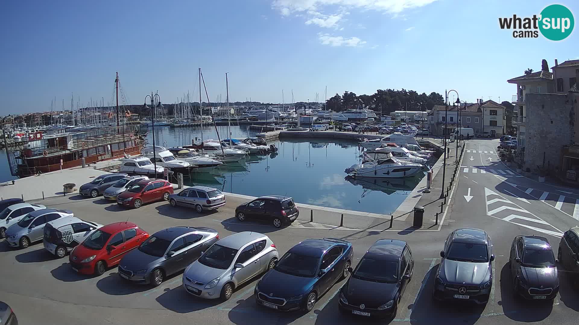 Novigrad | Porporela marina