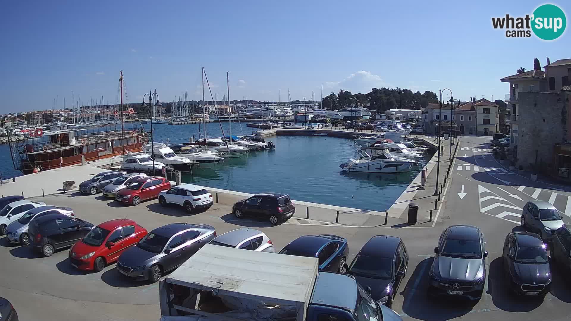 Novigrad | Porporela marina