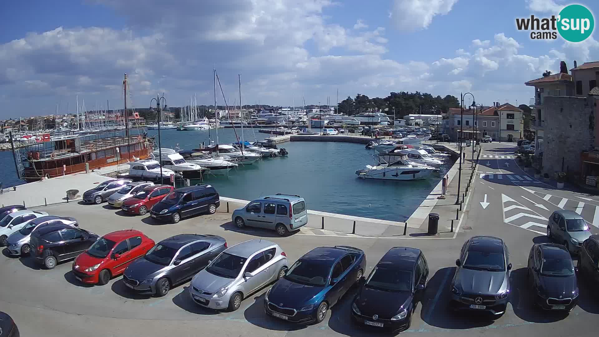 Novigrad | Porporela marina