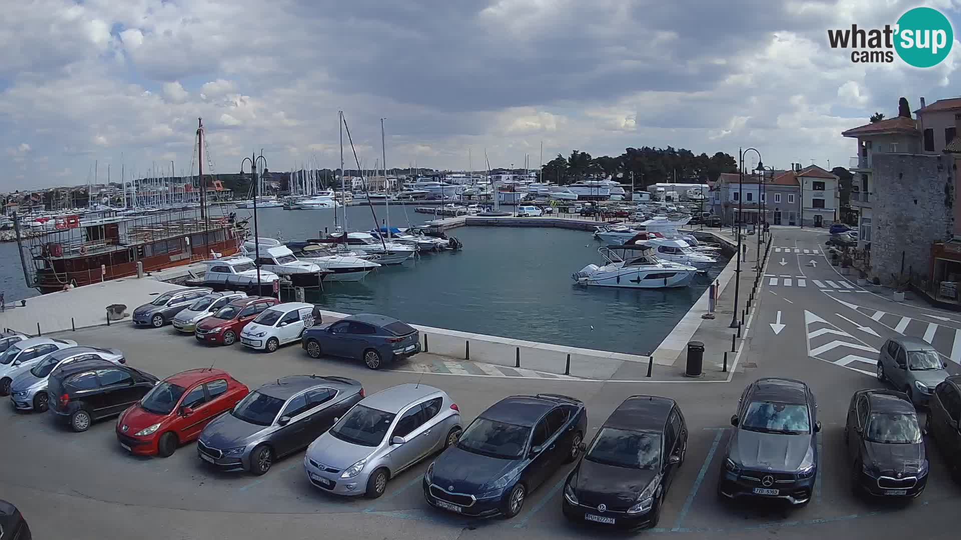 Novigrad | Porporela marina