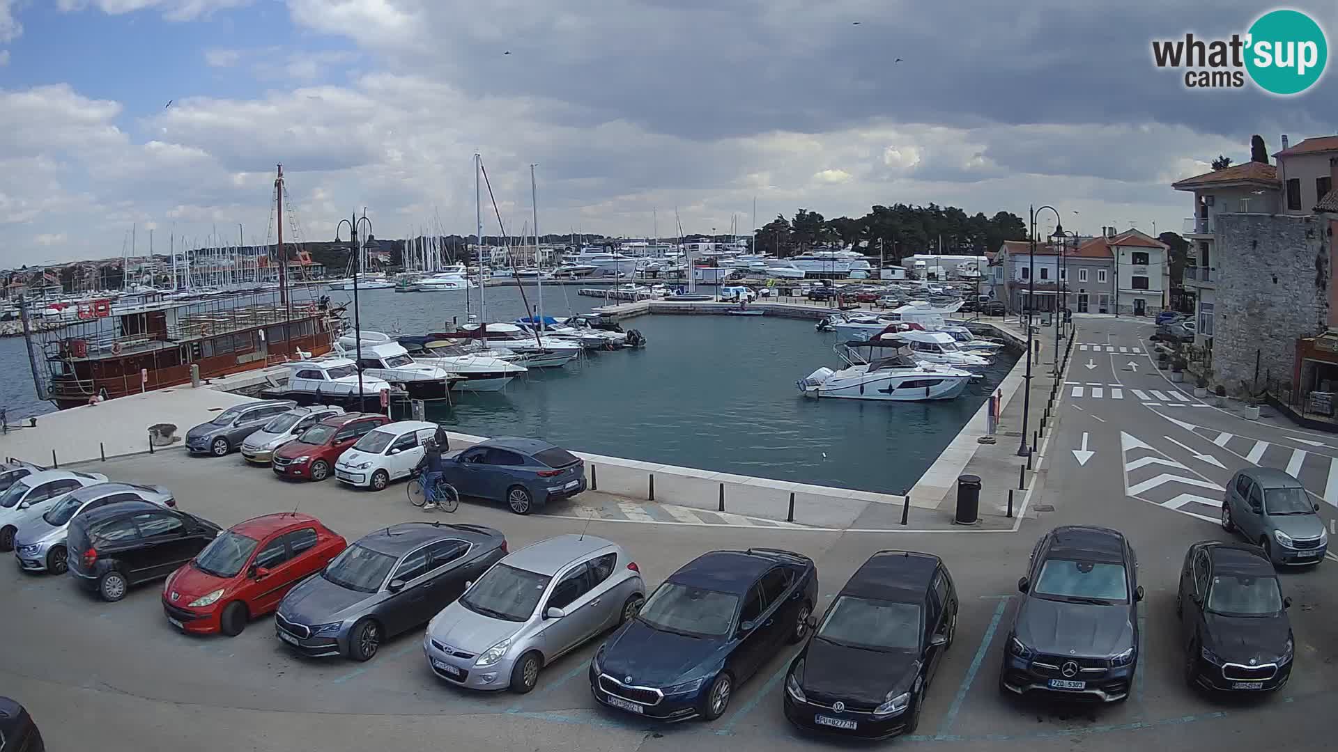 Novigrad | Porporela marina