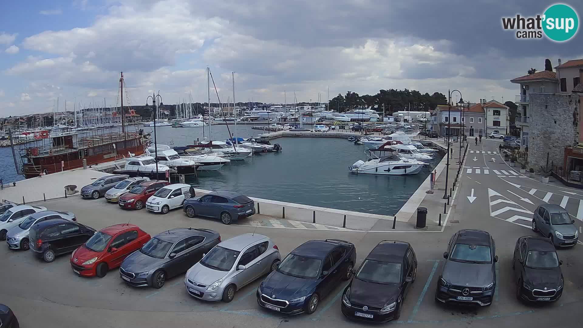Novigrad | Porporela marina