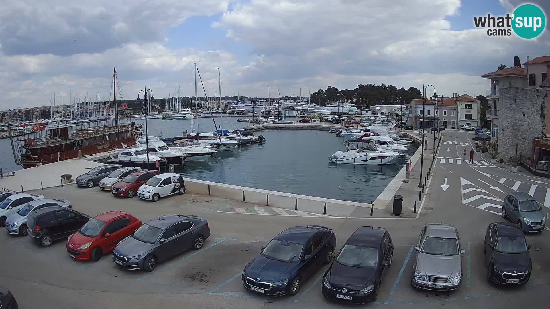 Novigrad | Porporela marina