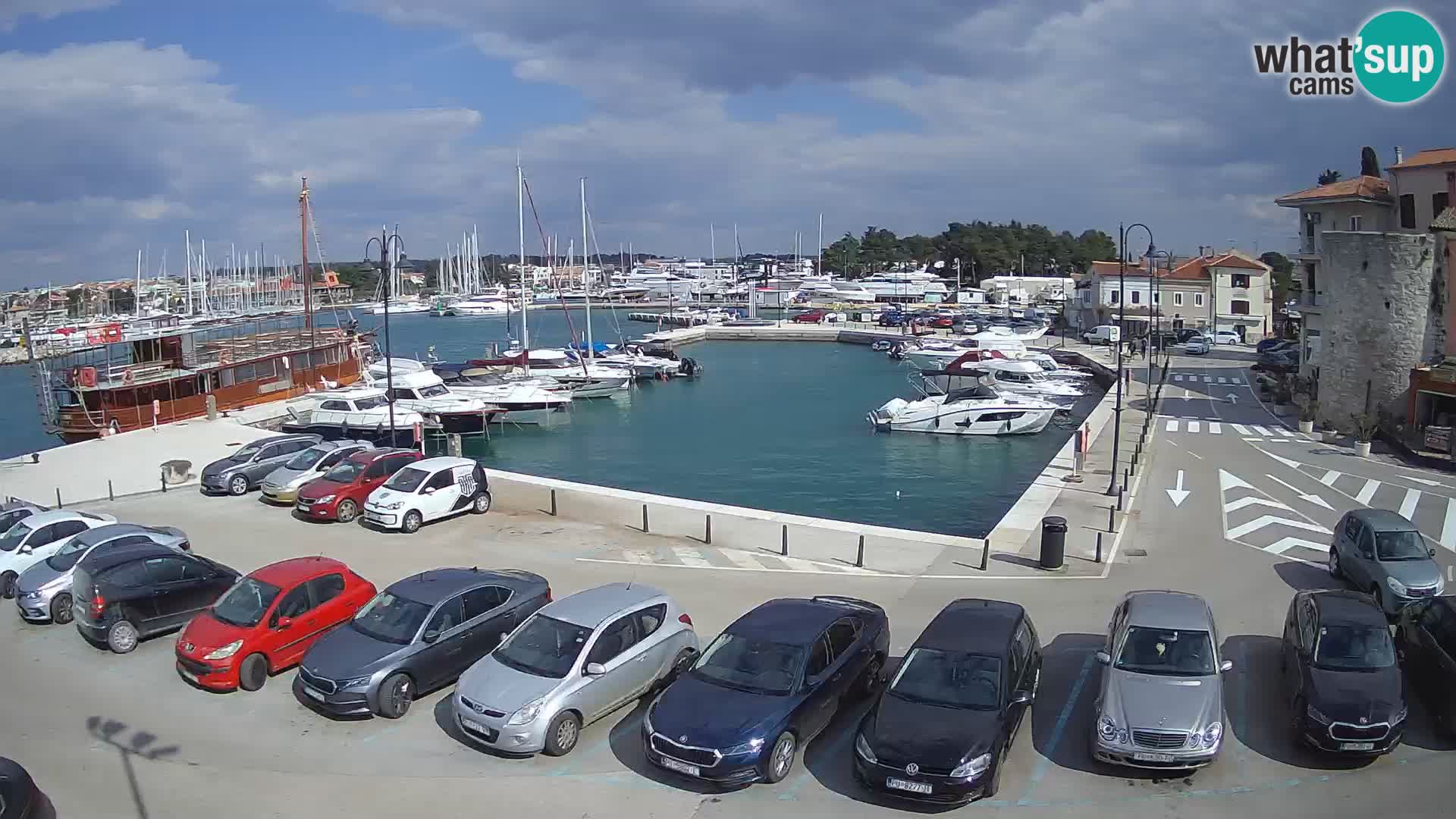 Novigrad | Porporela marina