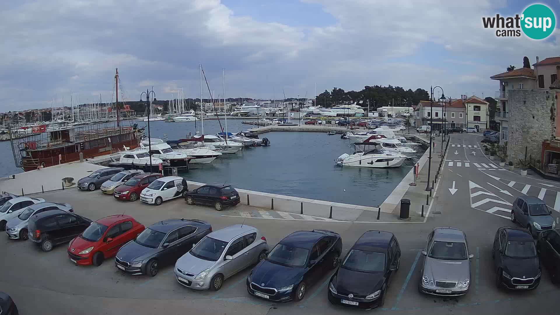 Novigrad | Porporela marina