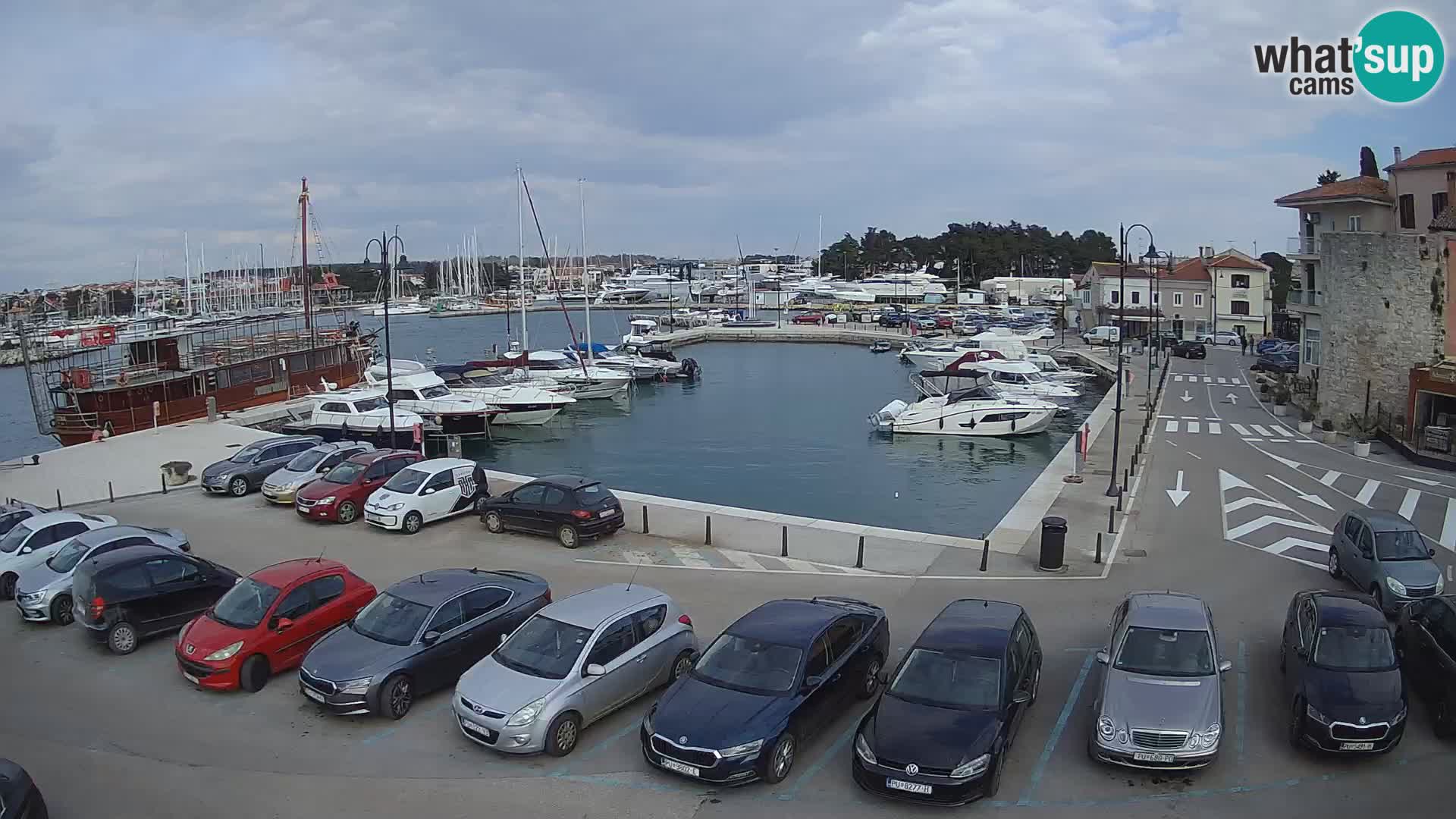 Novigrad | Porporela marina
