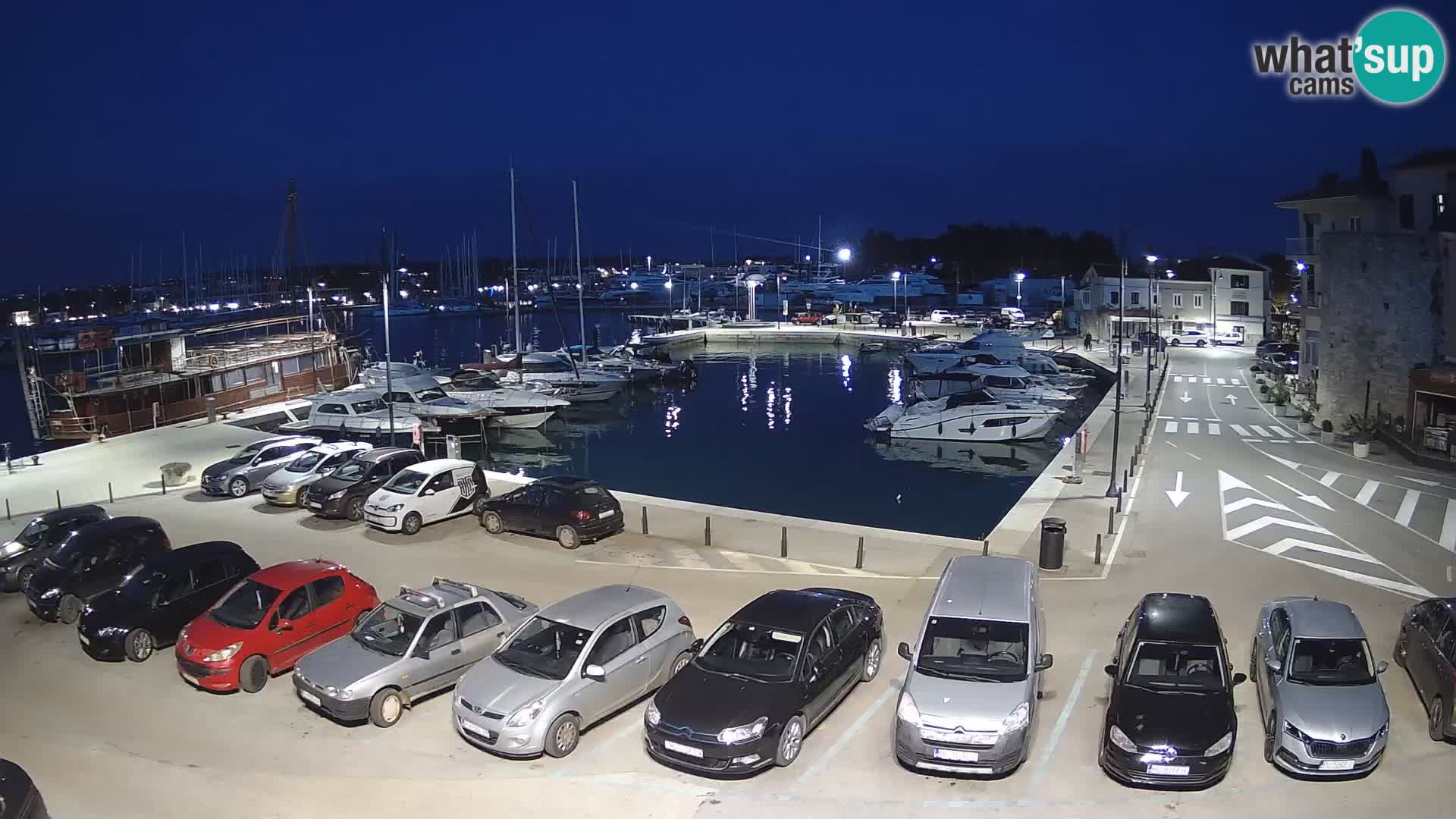 Novigrad | Porporela marina