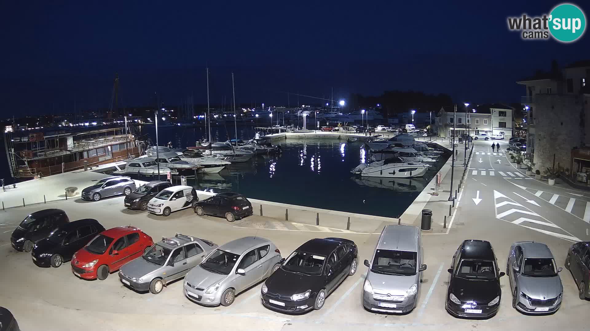 Novigrad | Porporela marina
