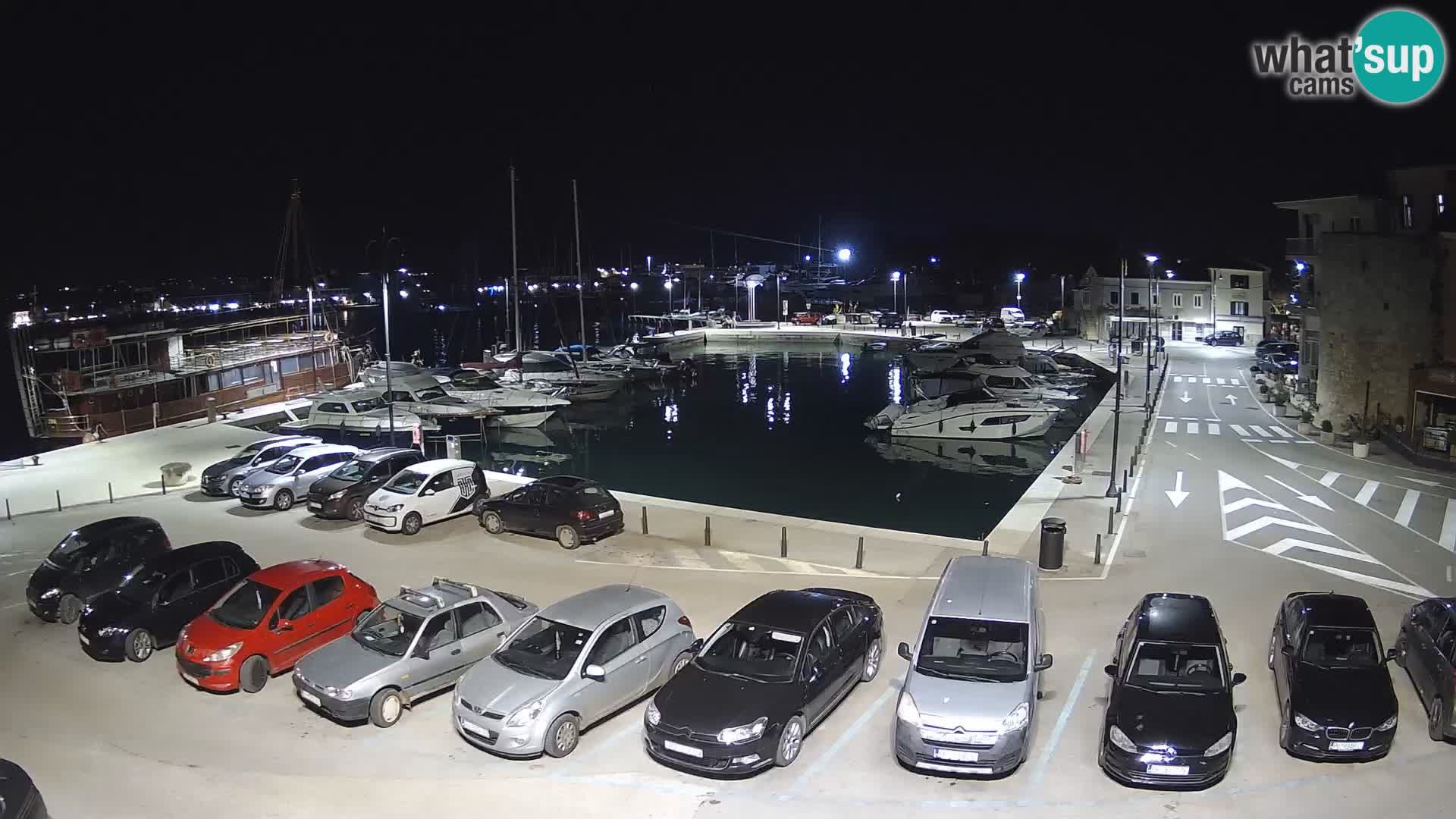 Novigrad | Porporela marina