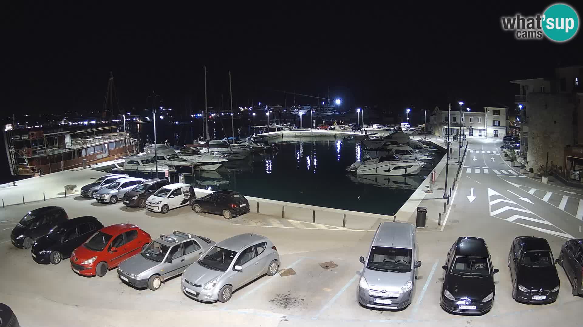 Novigrad | Porporela marina