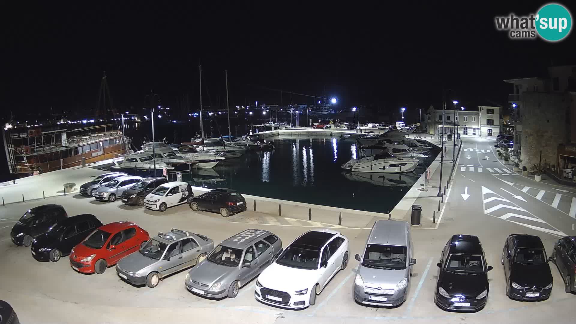 Novigrad | Porporela marina