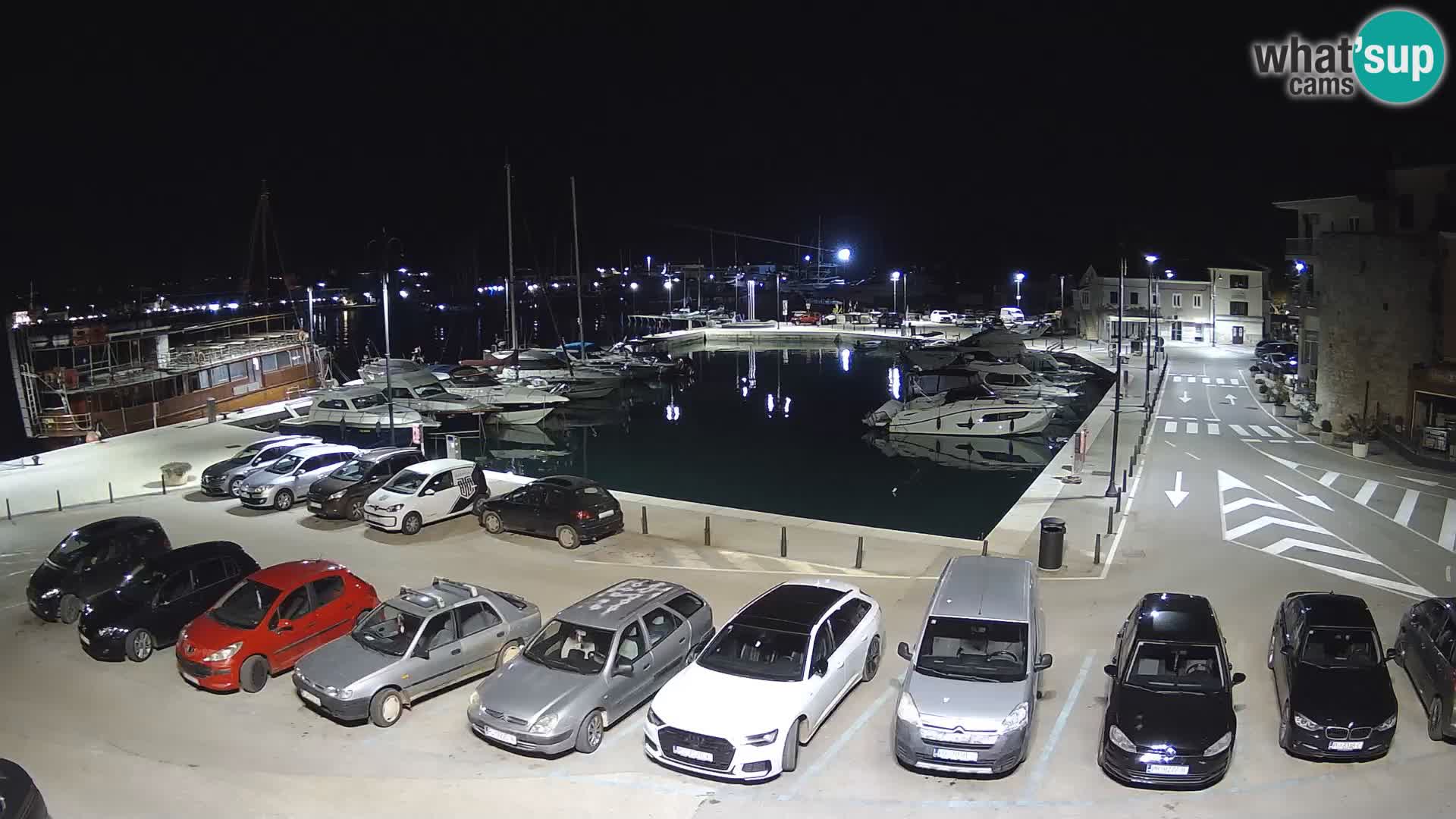 Novigrad | Porporela marina