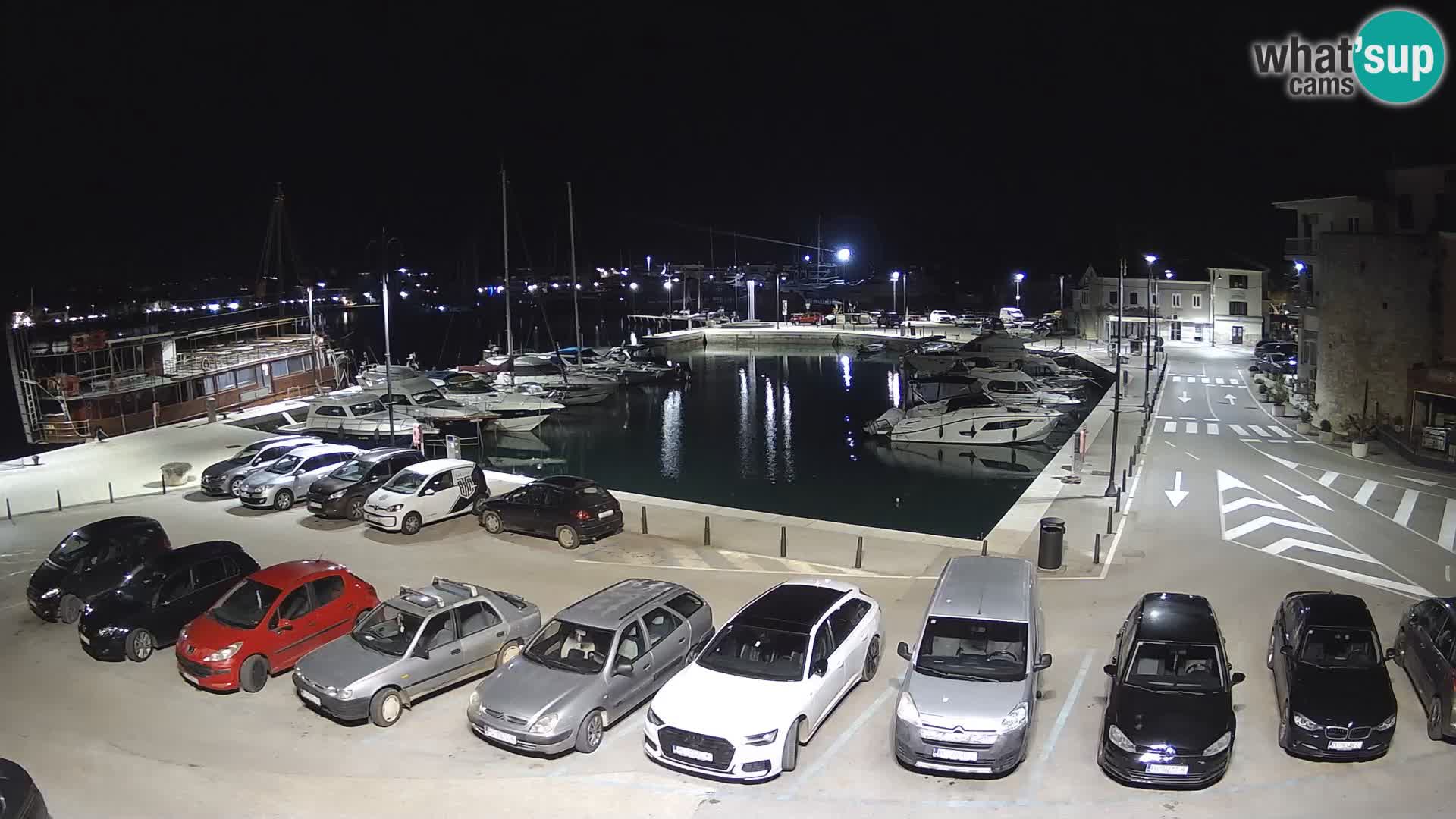 Novigrad | Porporela marina