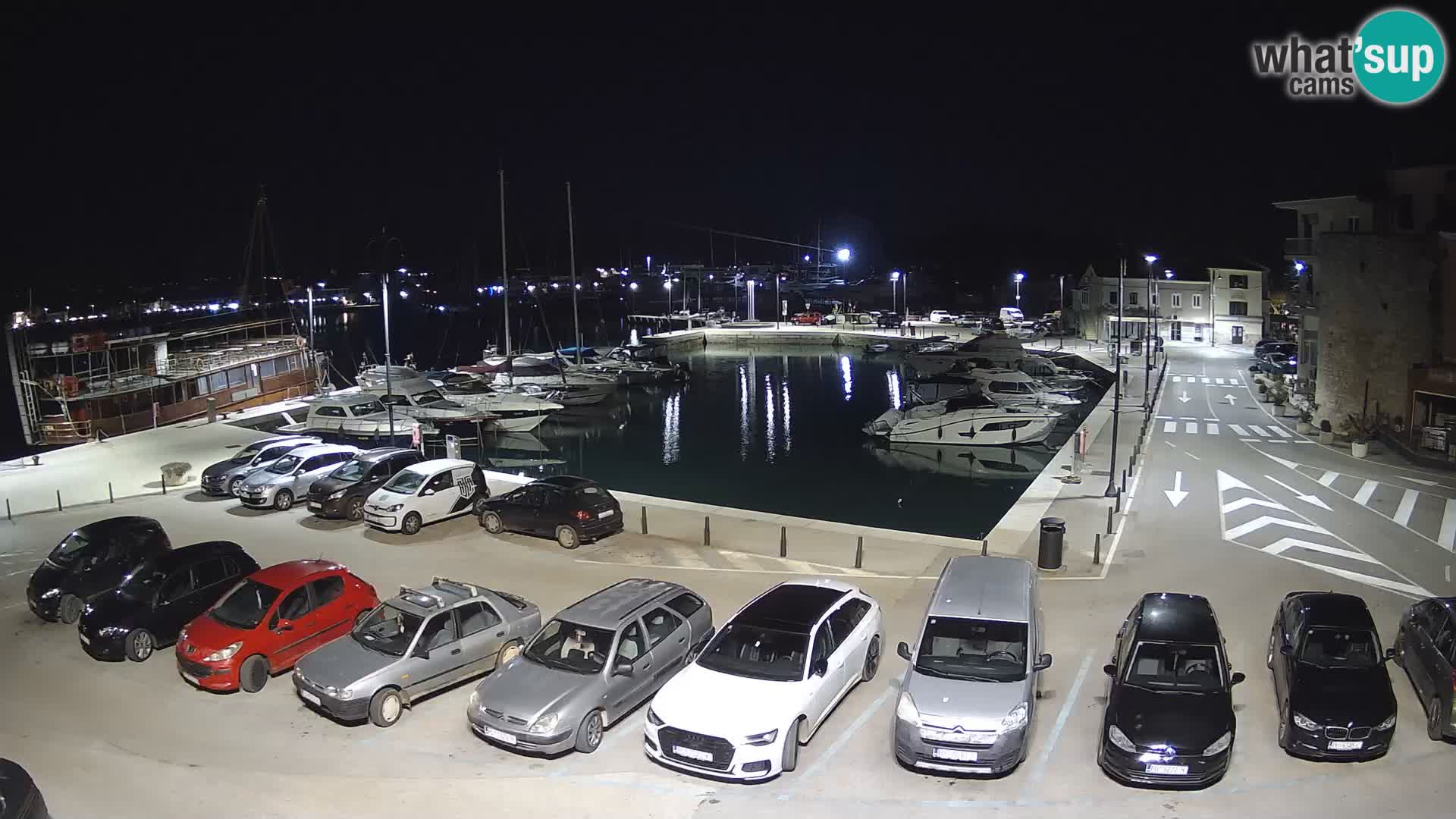 Novigrad | Porporela marina