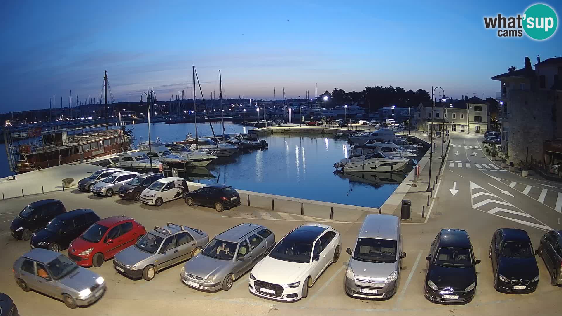 Novigrad | Porporela marina