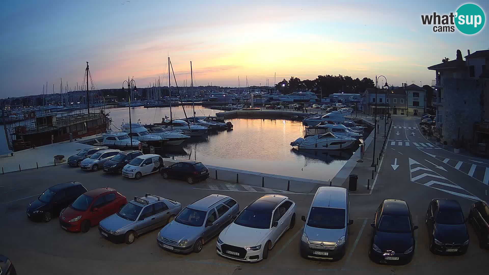 Novigrad | Porporela marina