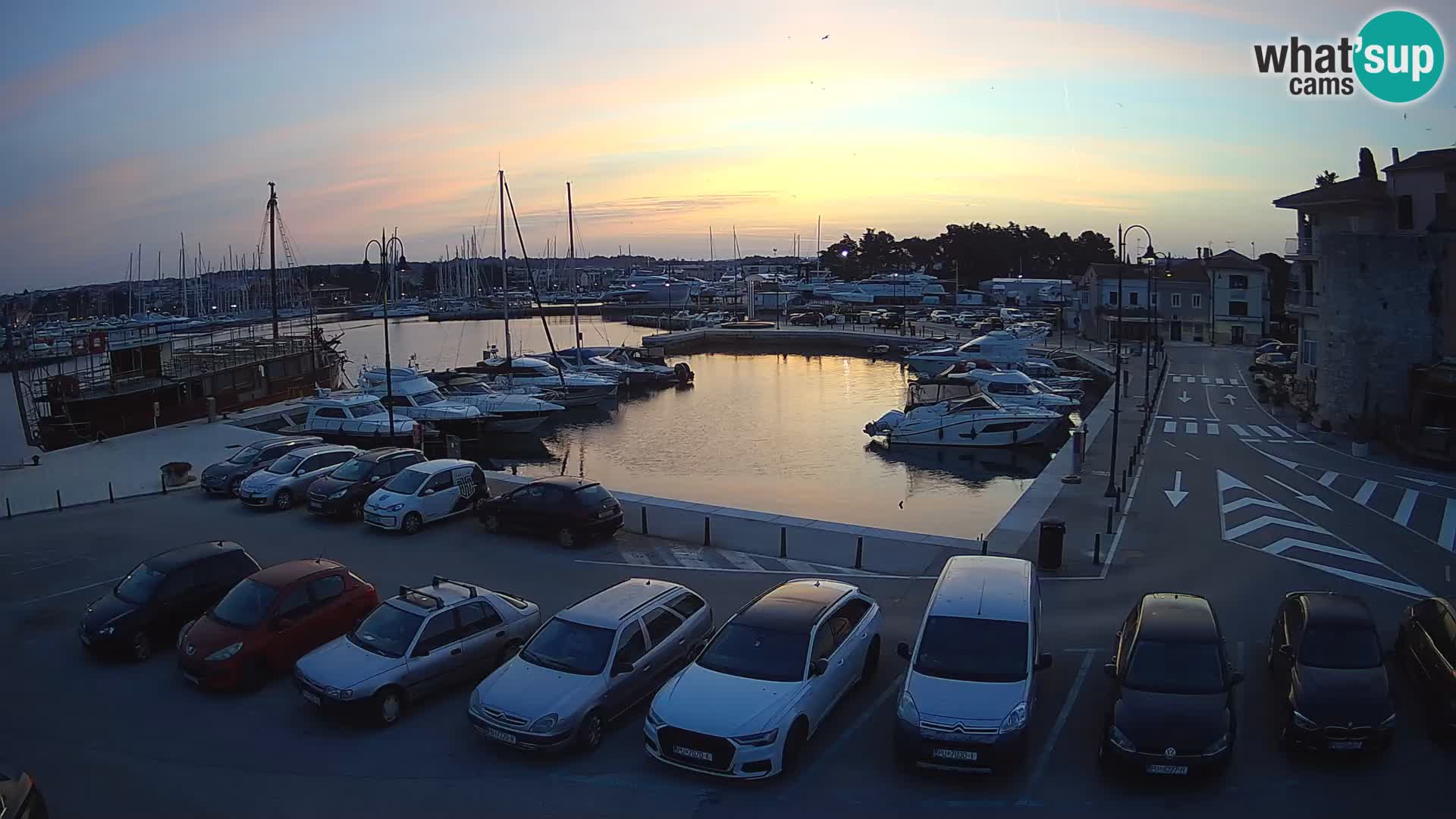 Novigrad | Porporela marina