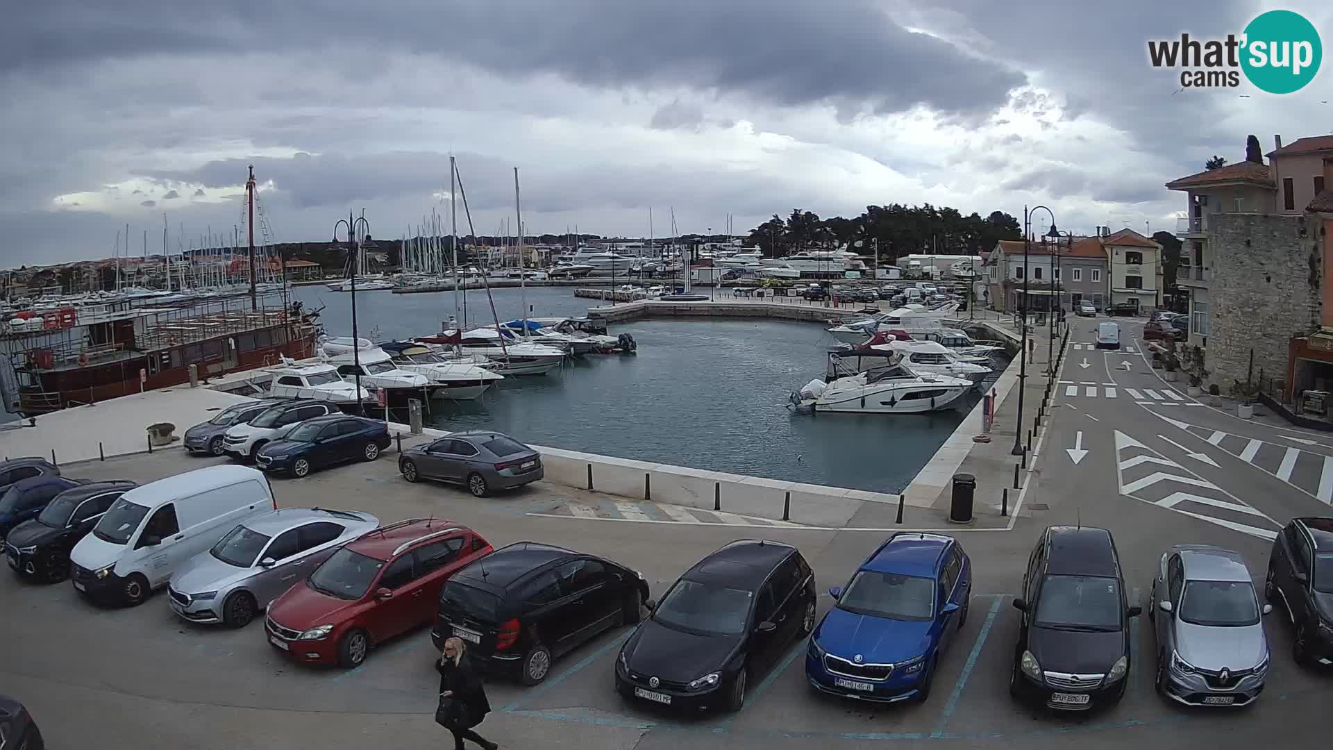 Novigrad | Porporela marina