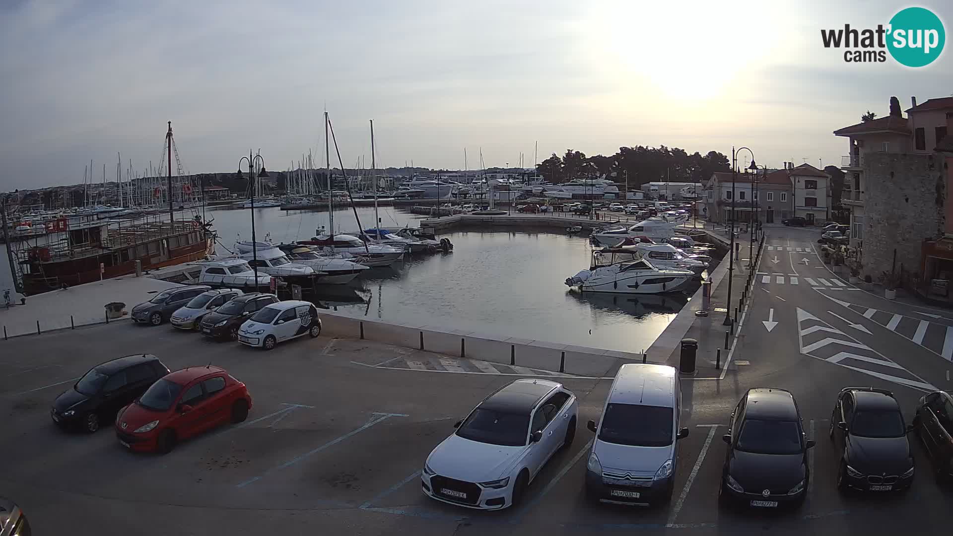 Novigrad | Porporela marina