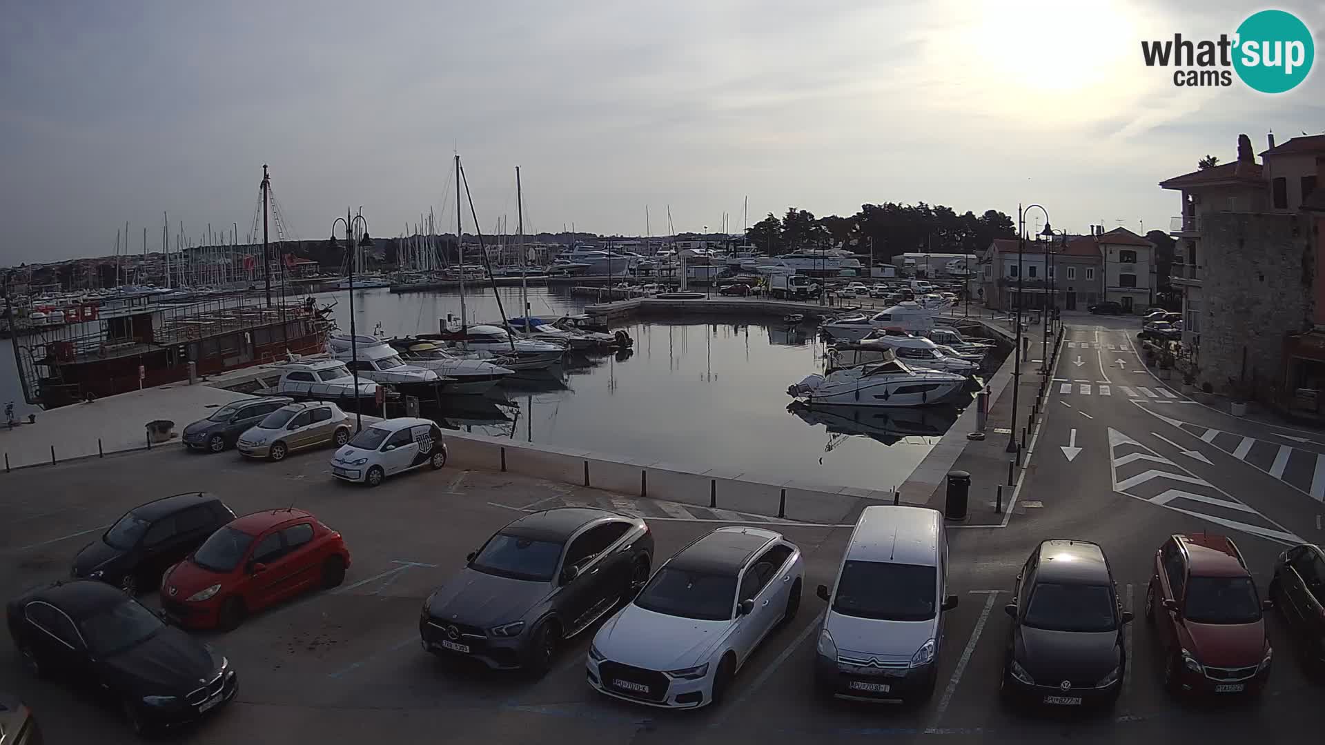 Novigrad | Porporela marina