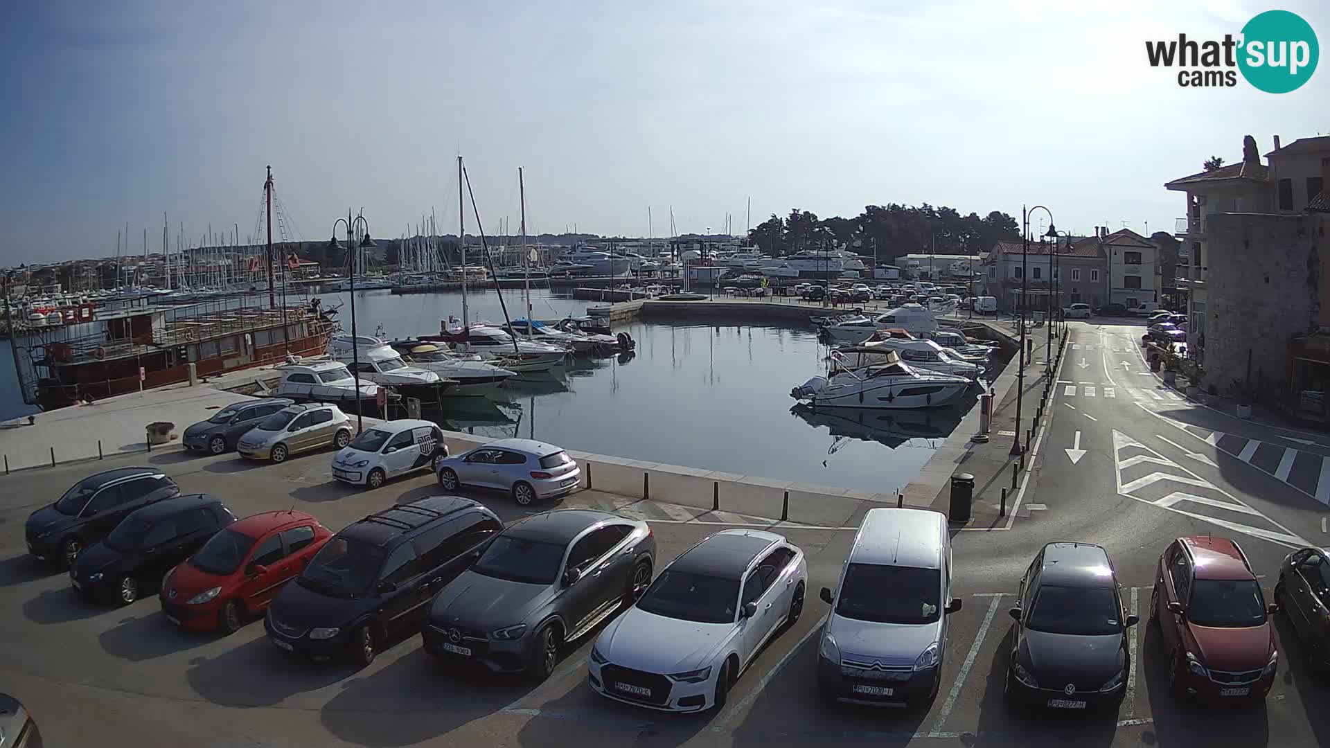 Novigrad | Porporela marina