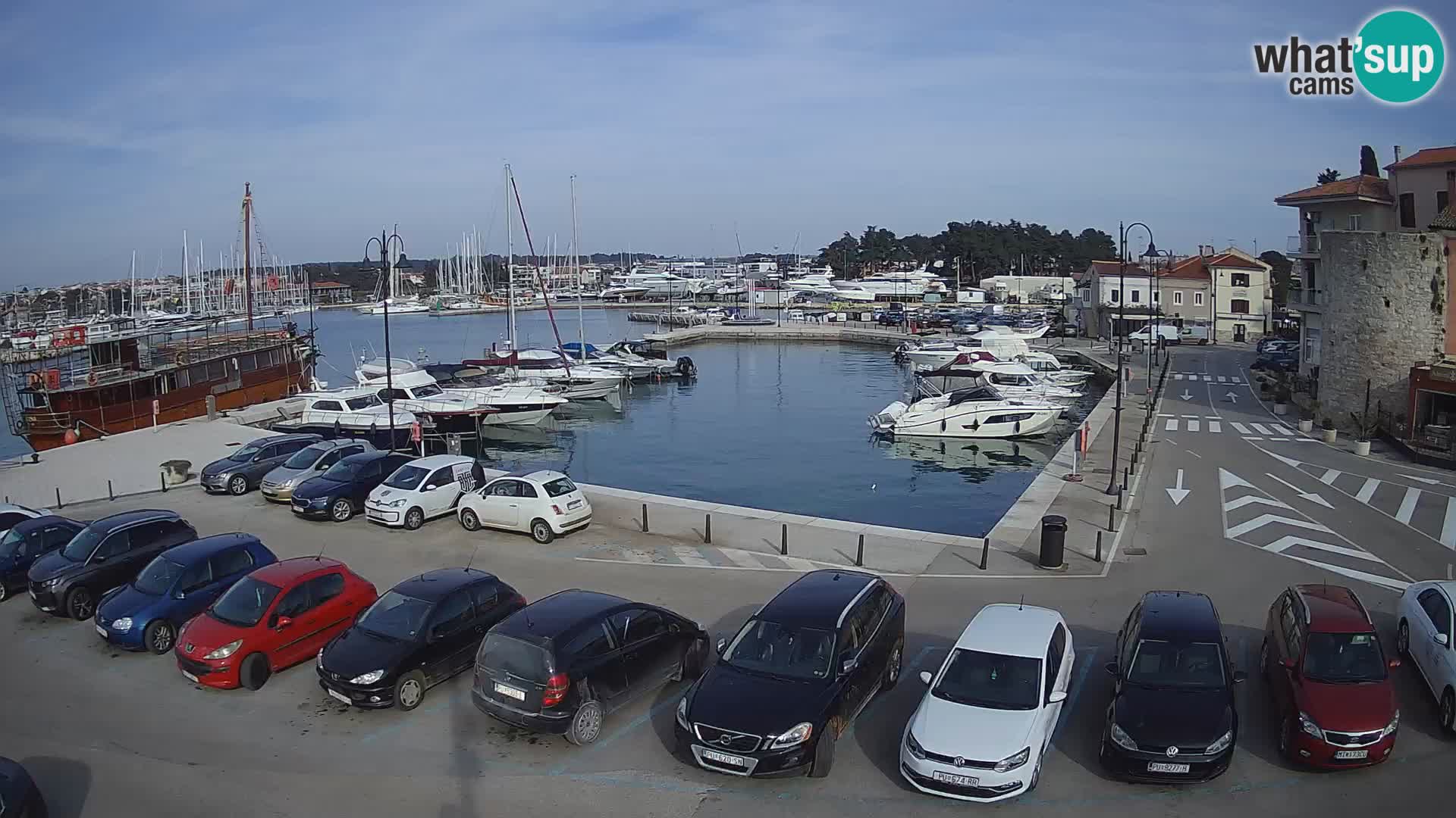 Novigrad | Porporela marina