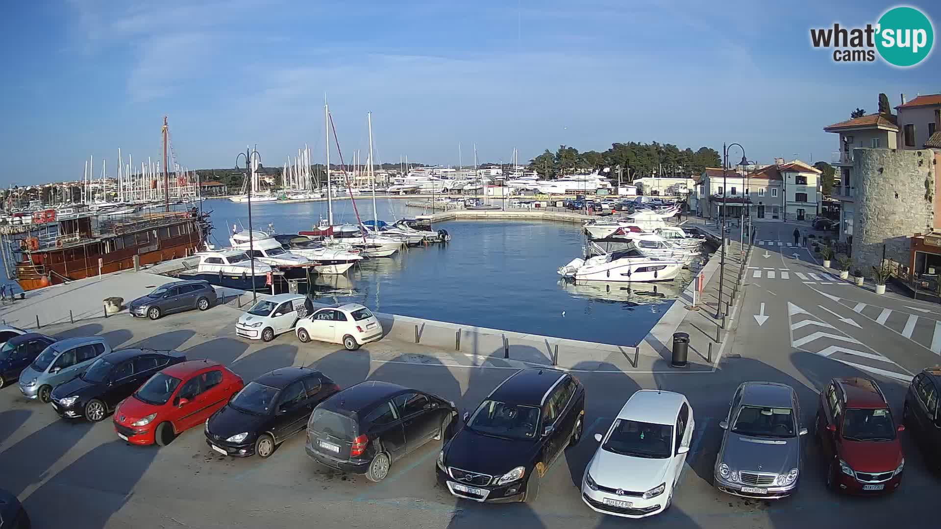 Novigrad | Porporela marina