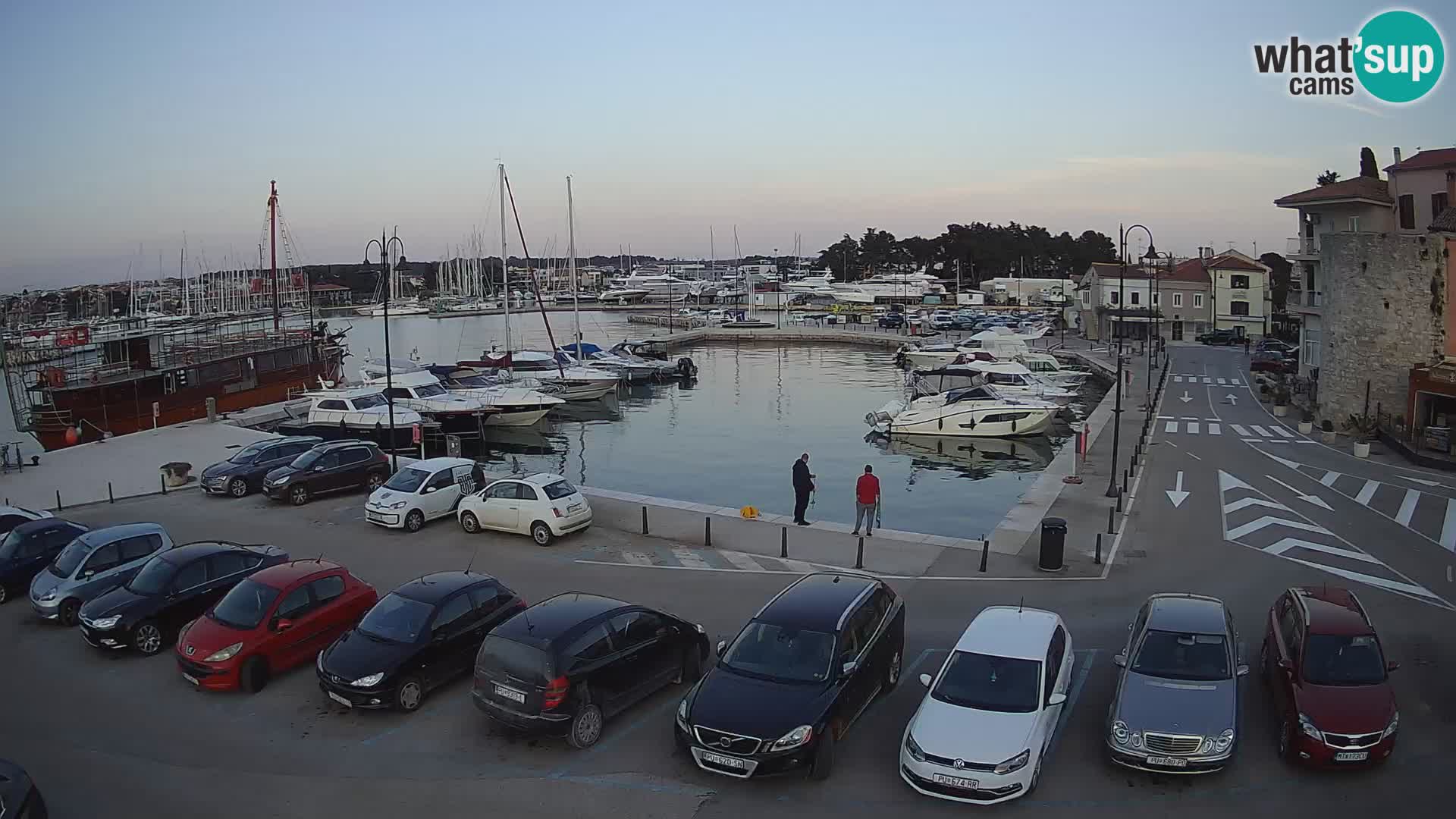 Novigrad | Porporela marina