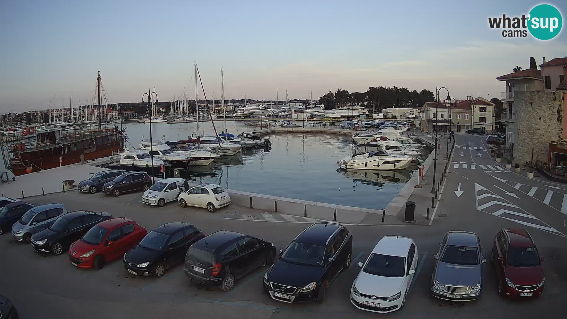 Novigrad | Porporela marina