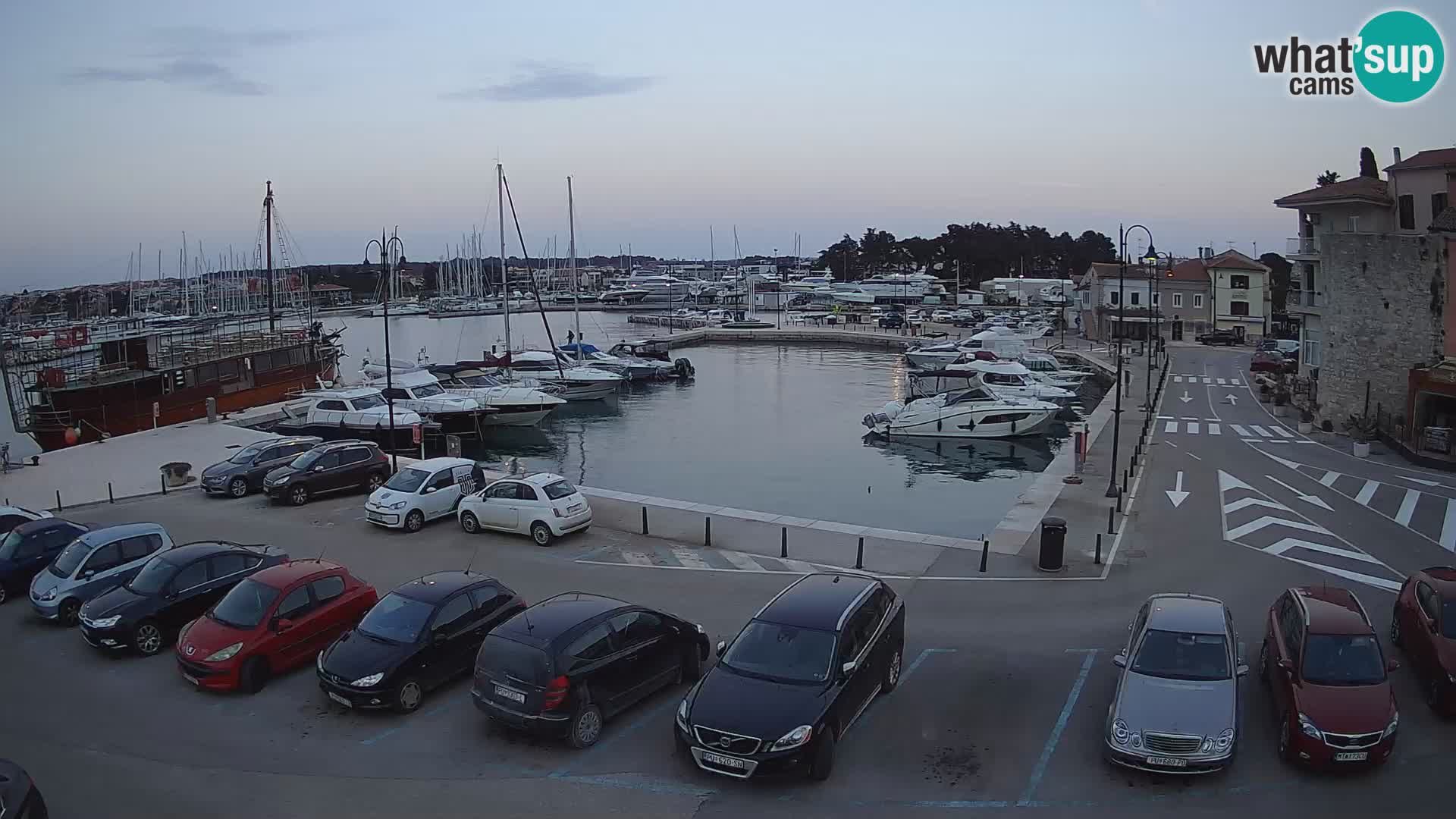 Novigrad | Porporela marina