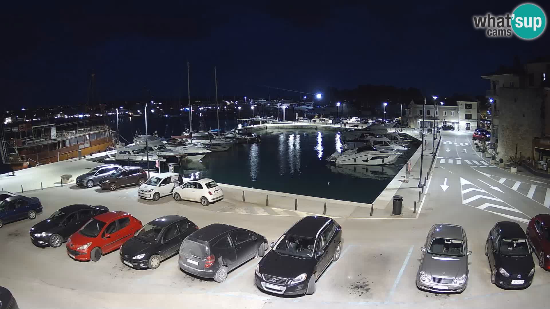 Novigrad | Porporela marina