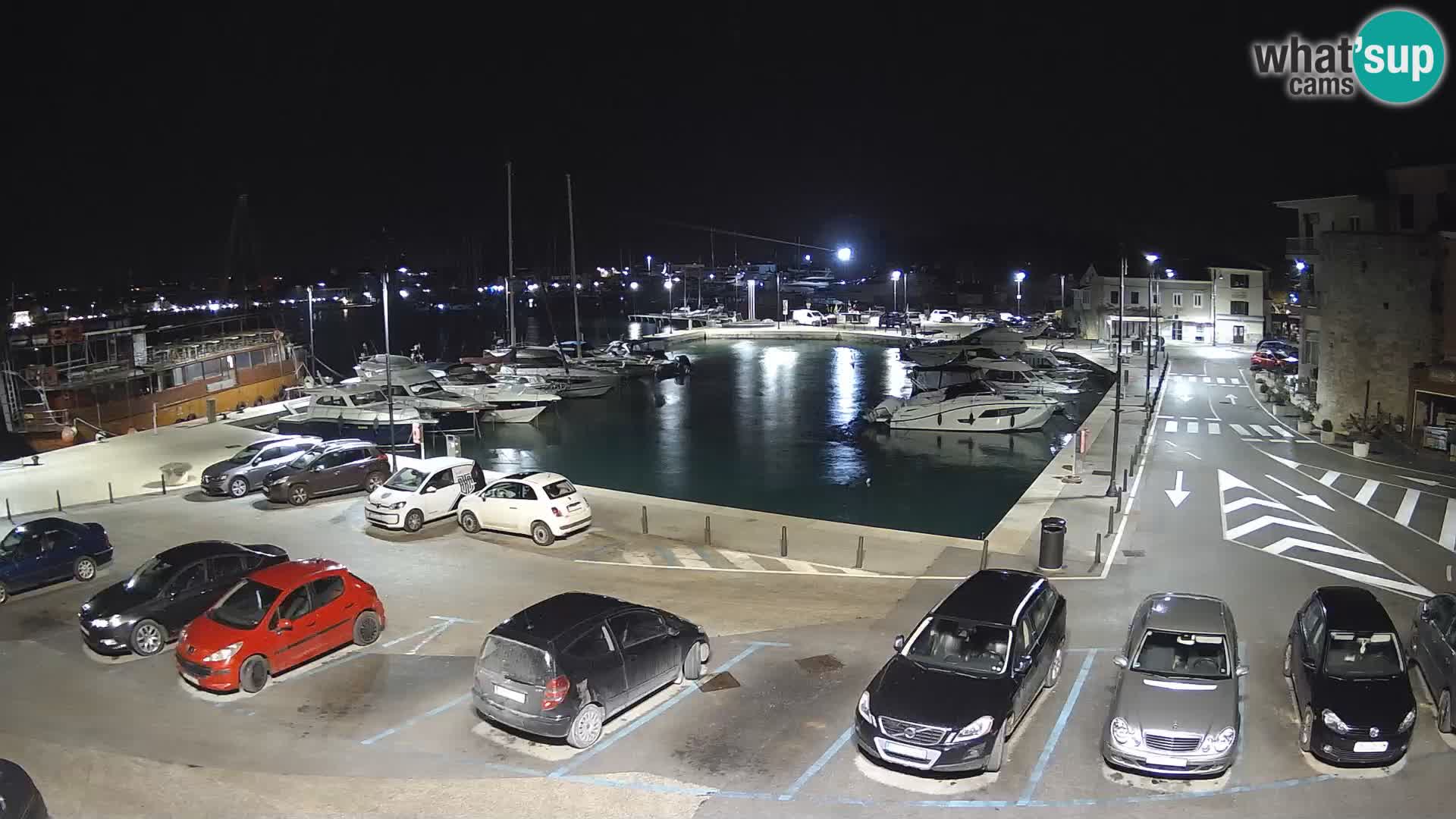 Novigrad | Porporela marina