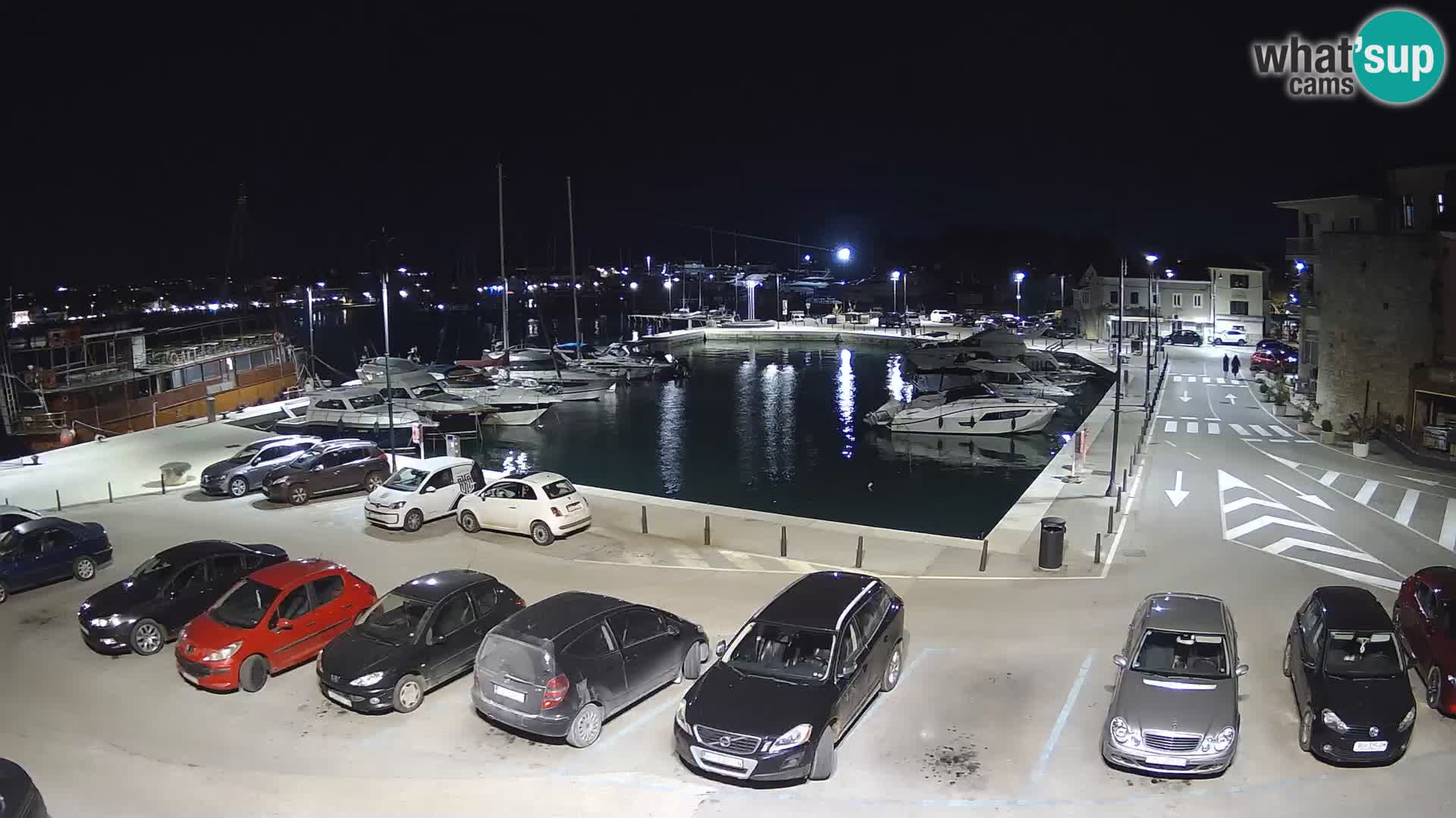 Novigrad | Porporela marina
