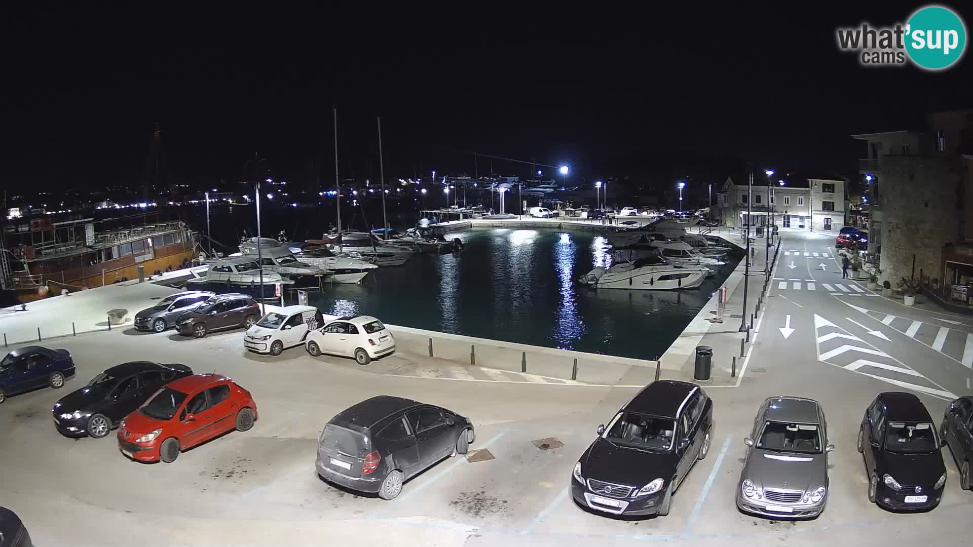 Novigrad | Porporela marina