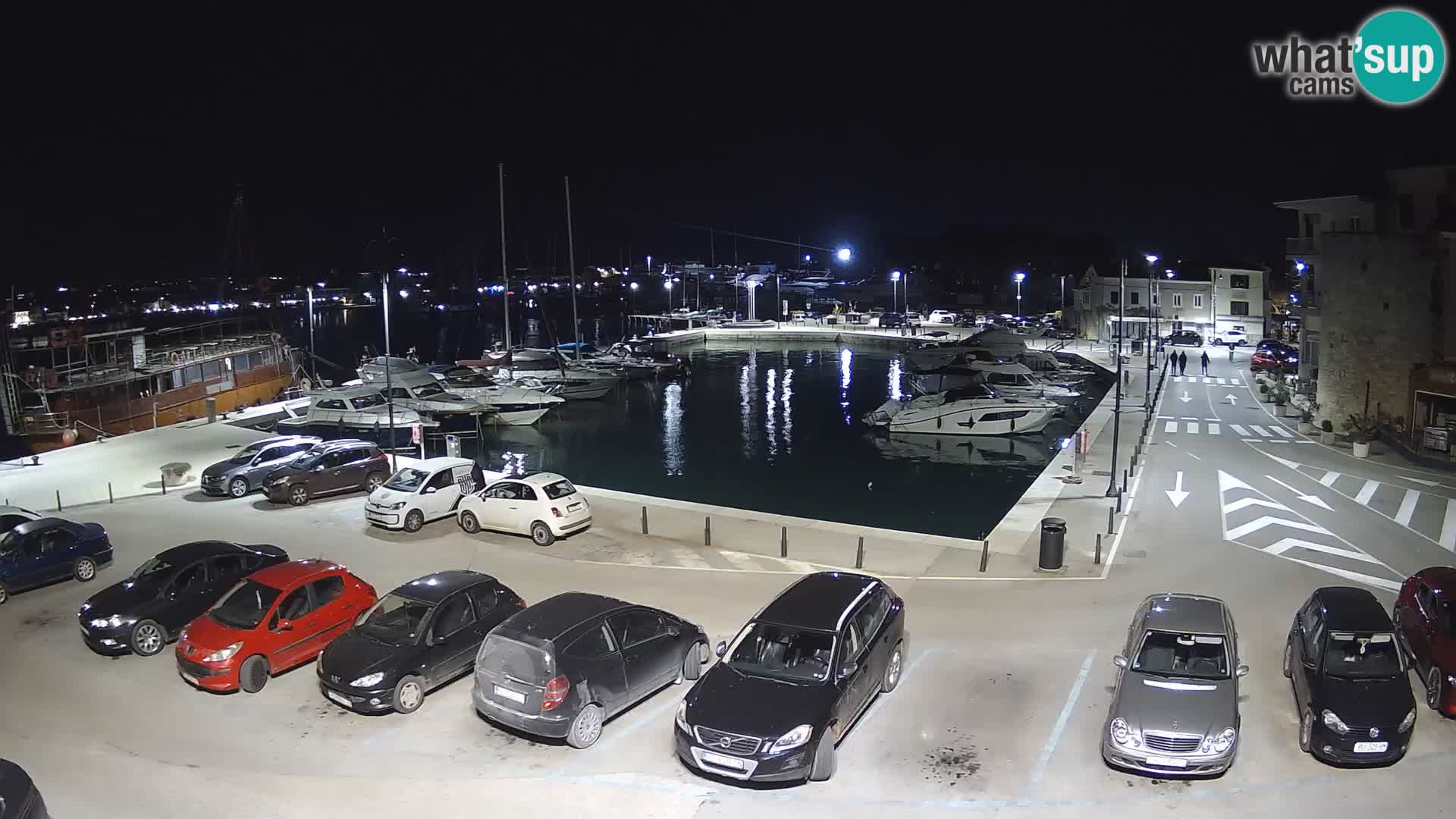 Novigrad | Porporela marina