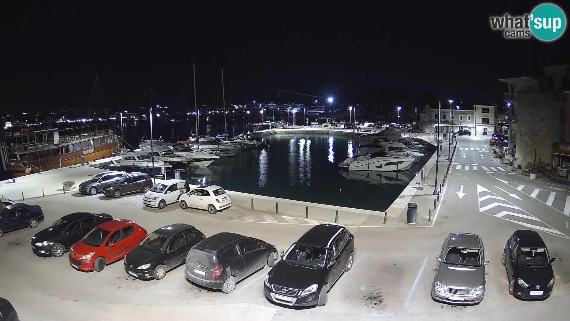 Novigrad | Porporela marina