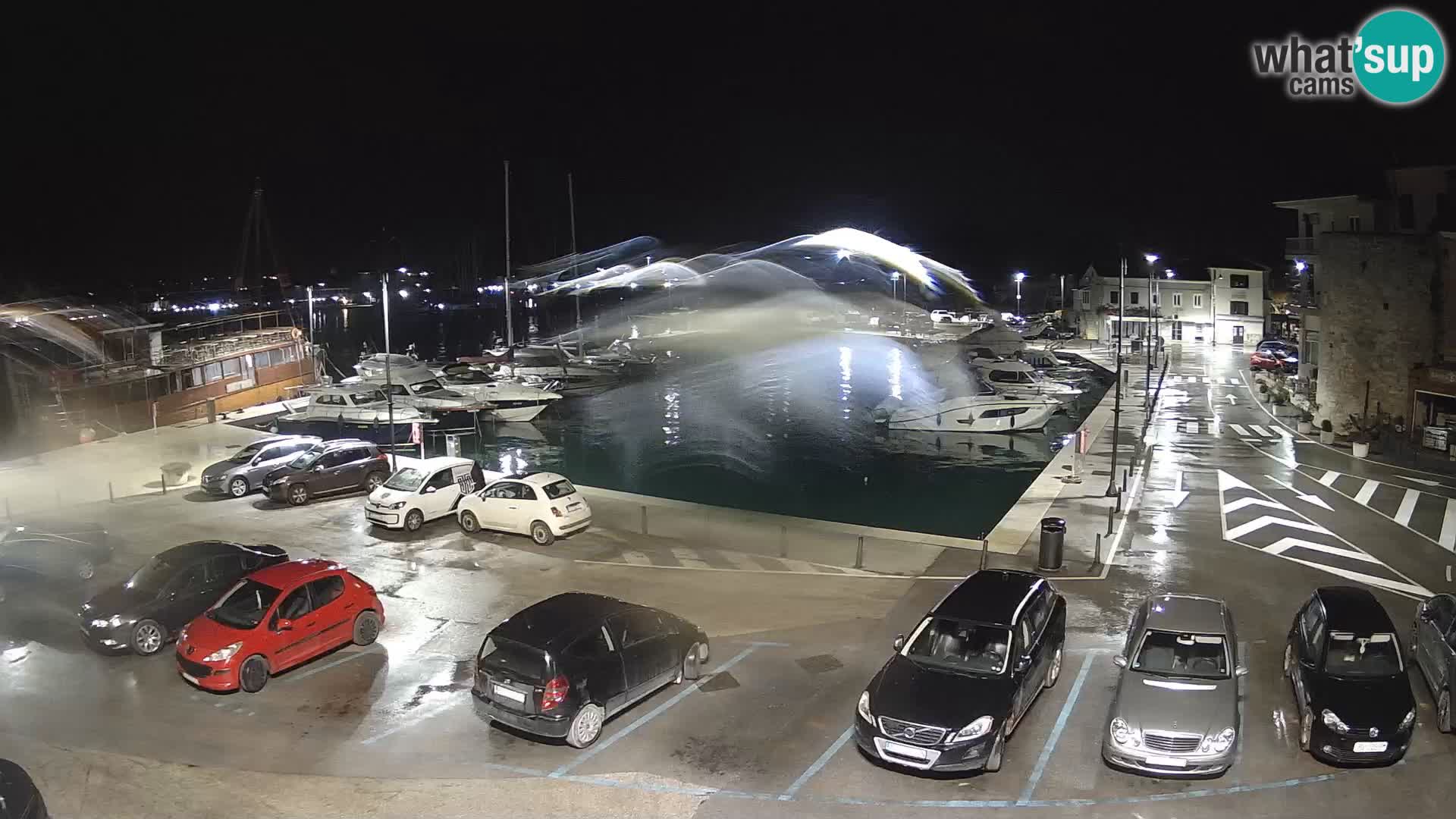 Novigrad | Porporela marina