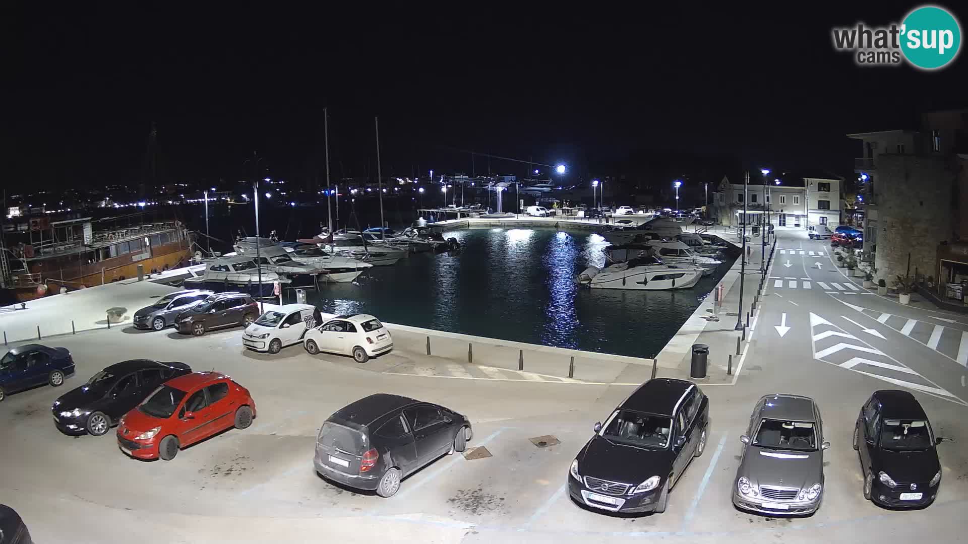 Novigrad | Porporela marina