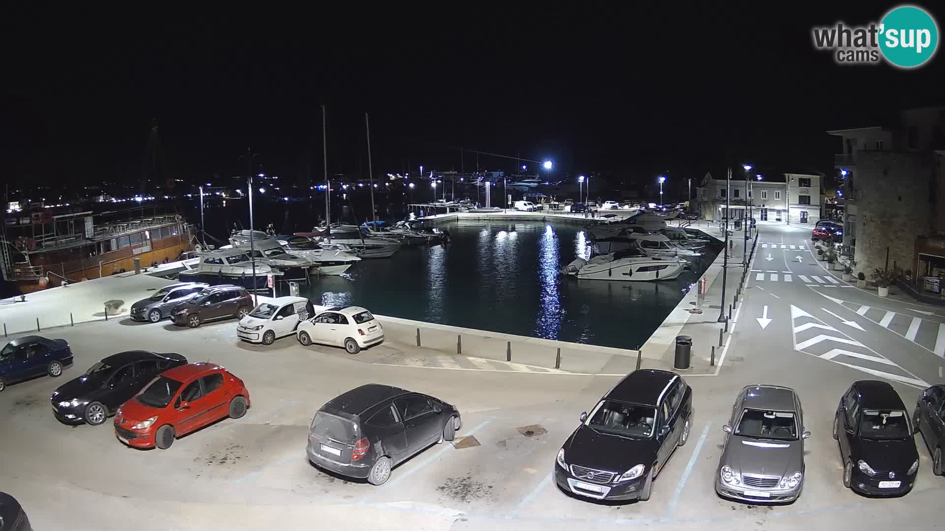 Novigrad | Porporela marina