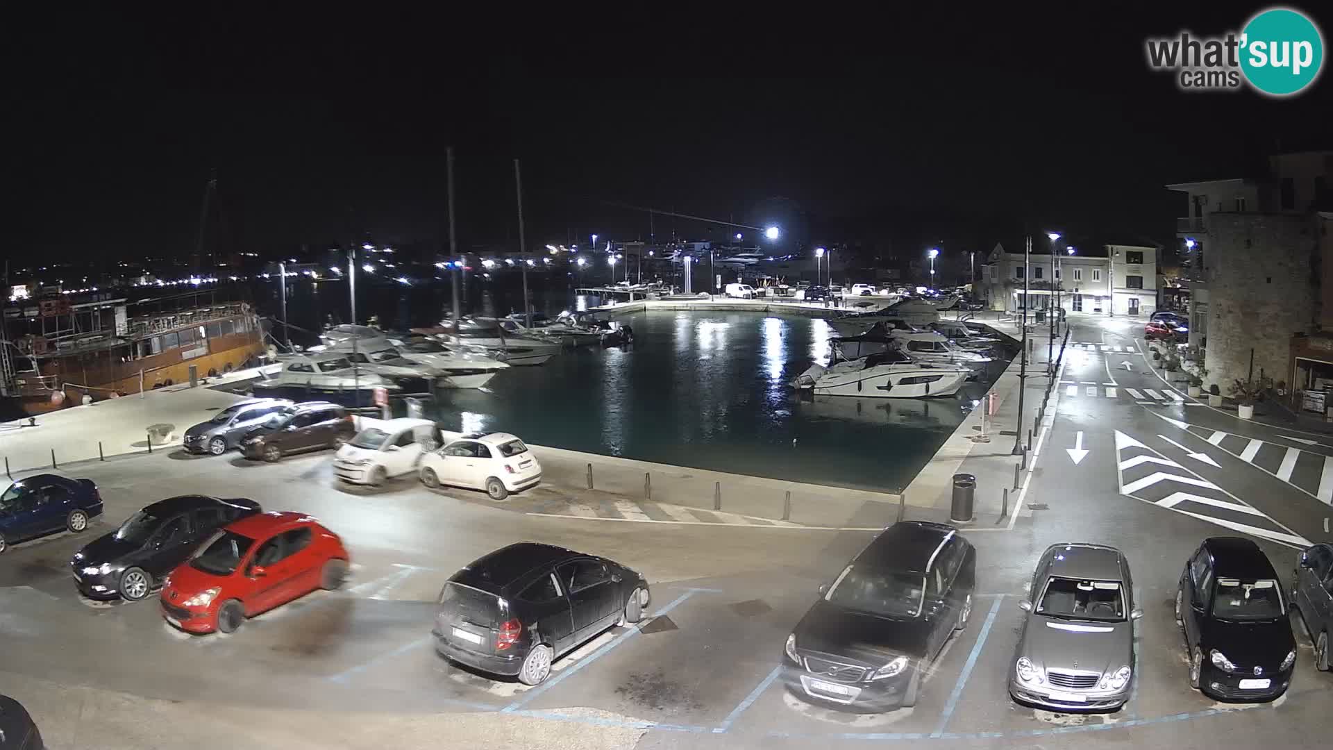 Novigrad | Porporela marina