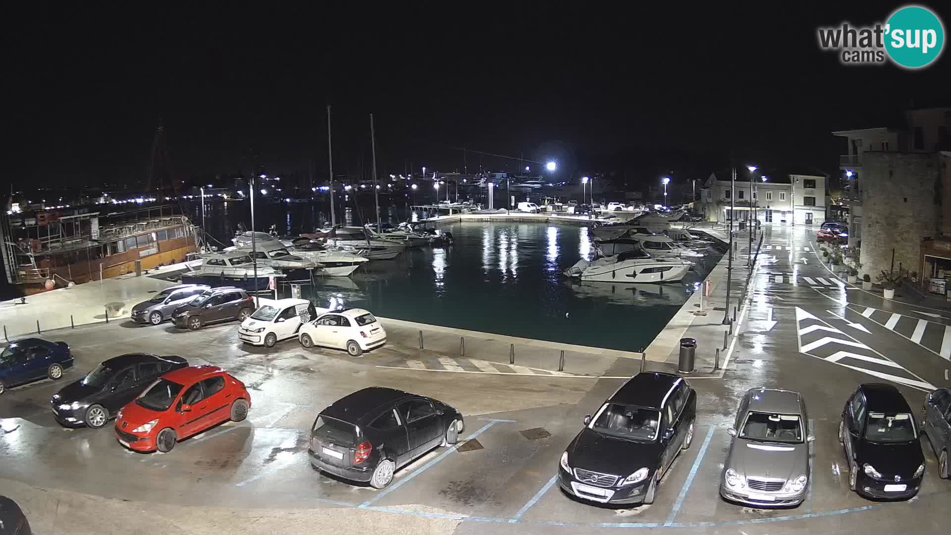 Novigrad | Porporela marina