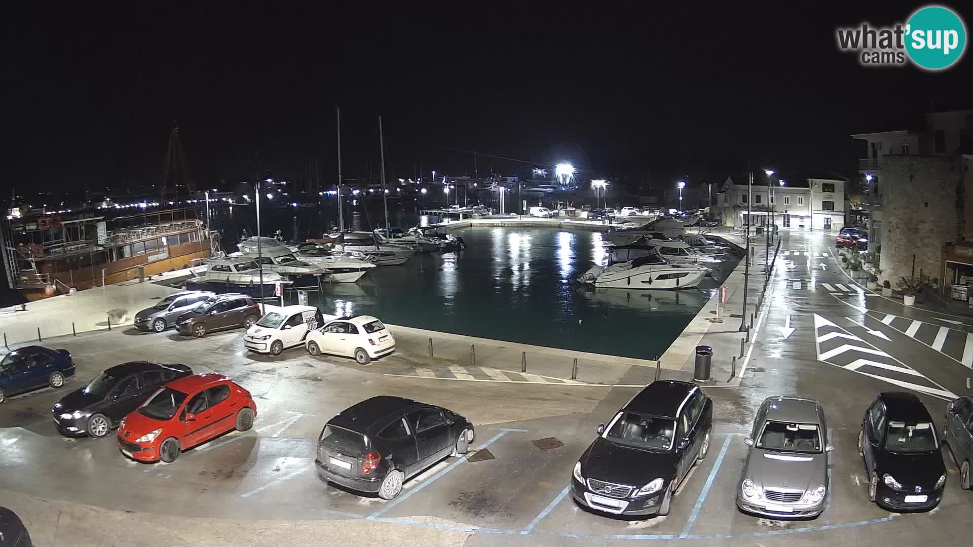 Novigrad | Porporela marina