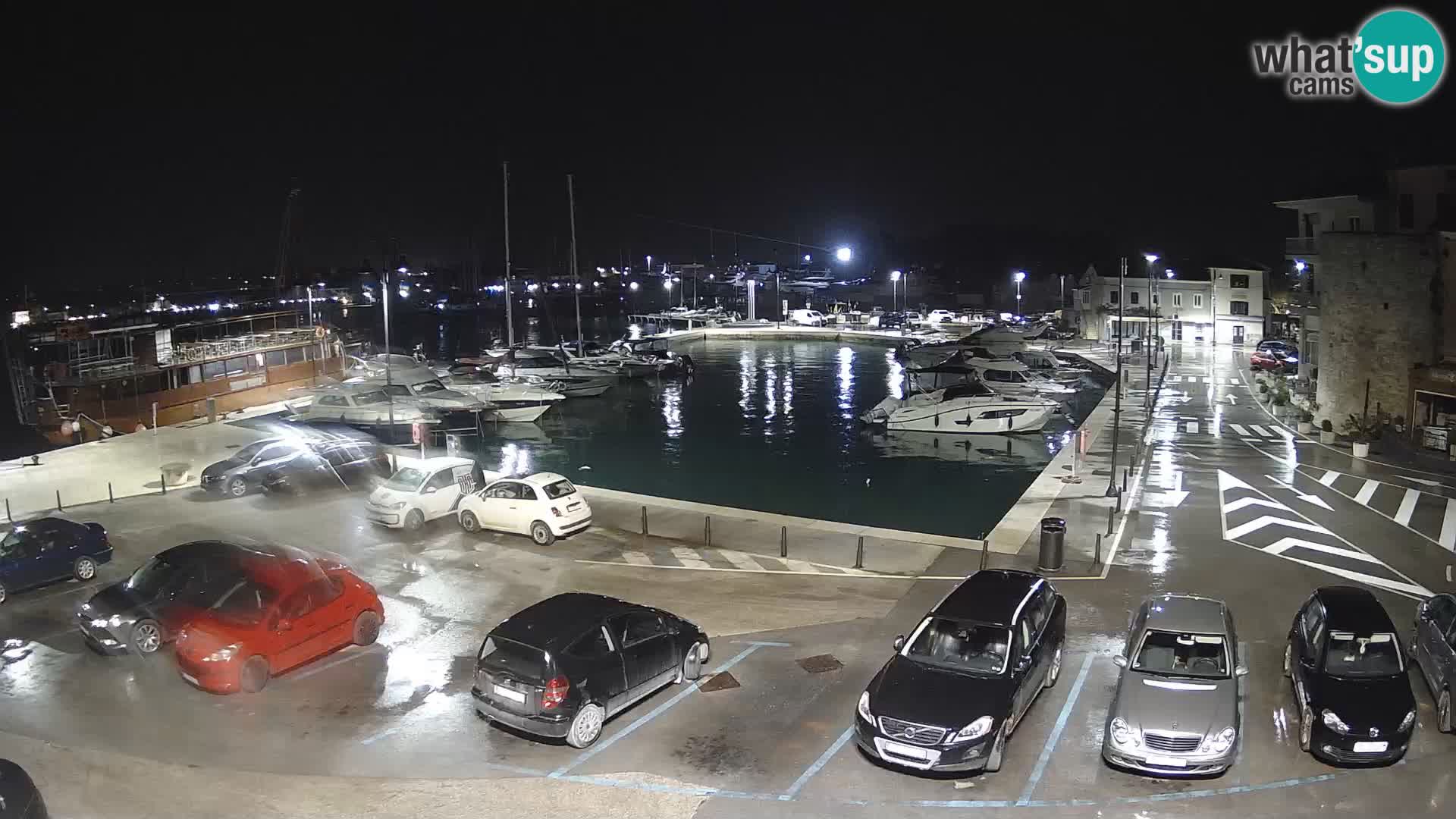 Novigrad | Porporela marina