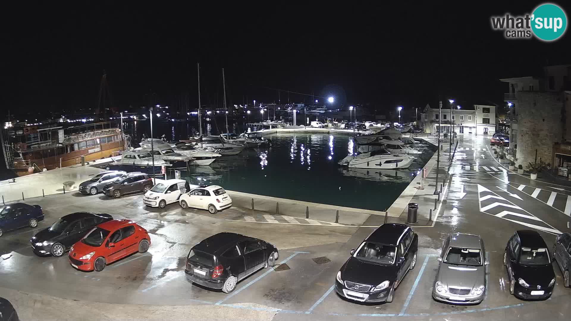 Novigrad | Porporela marina