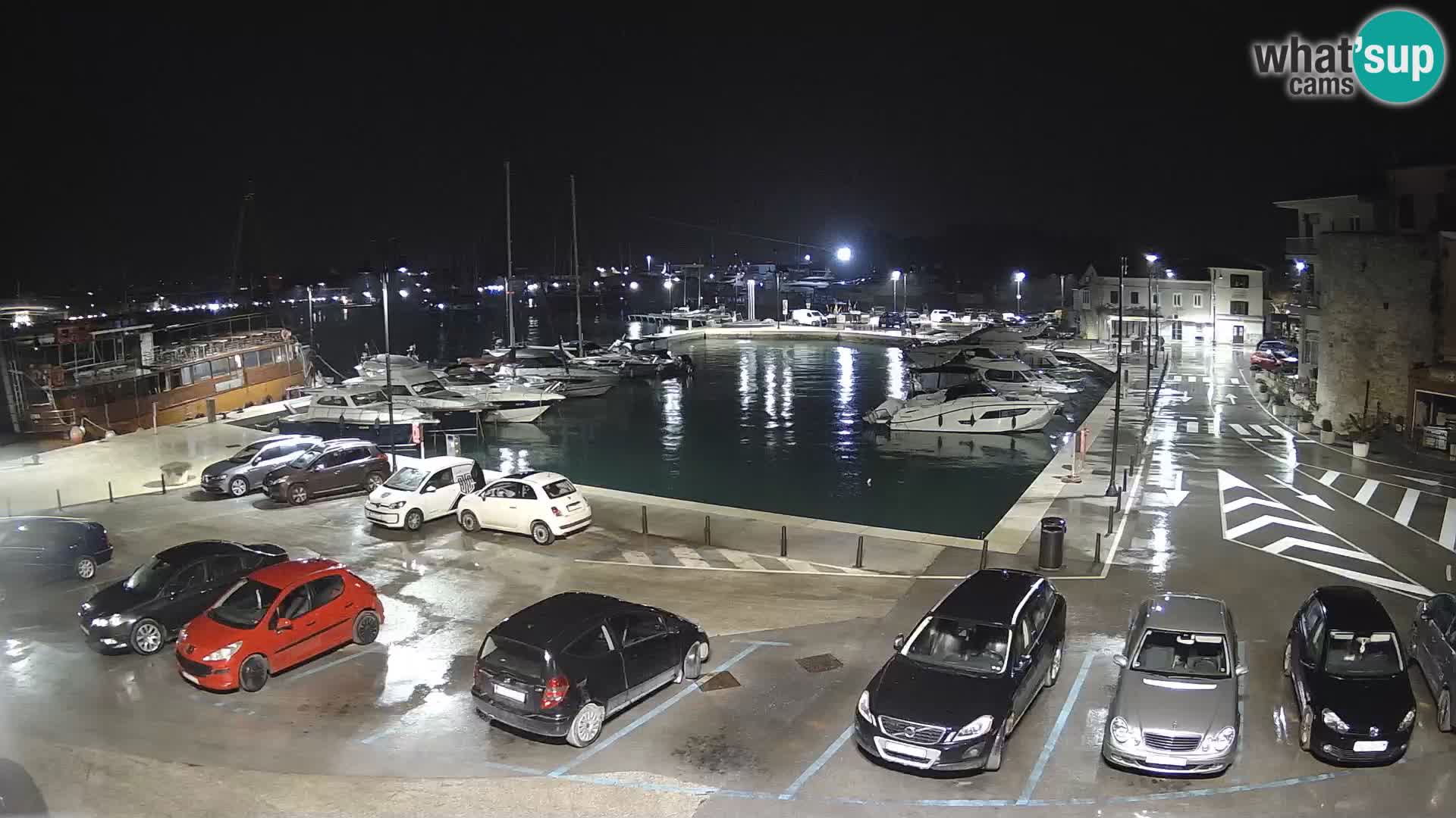 Novigrad | Porporela marina
