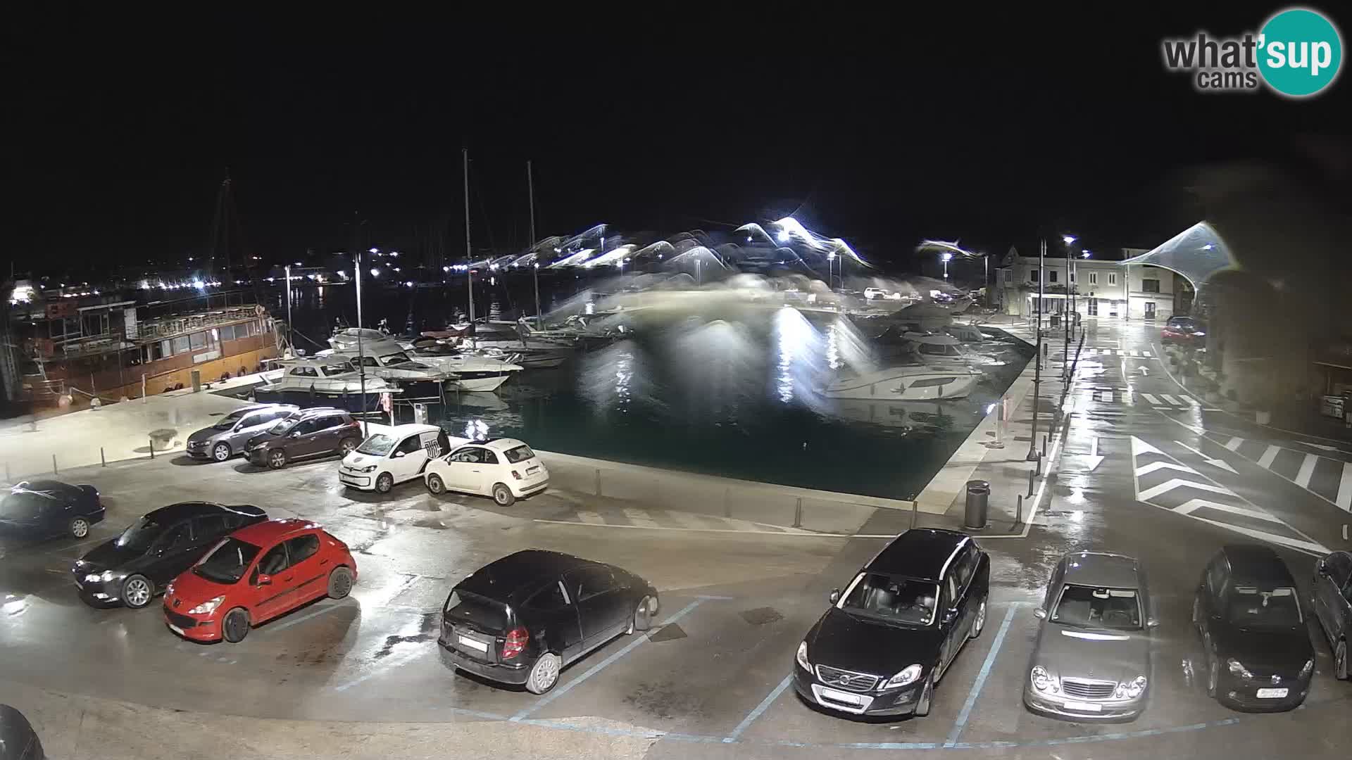 Novigrad | Porporela marina