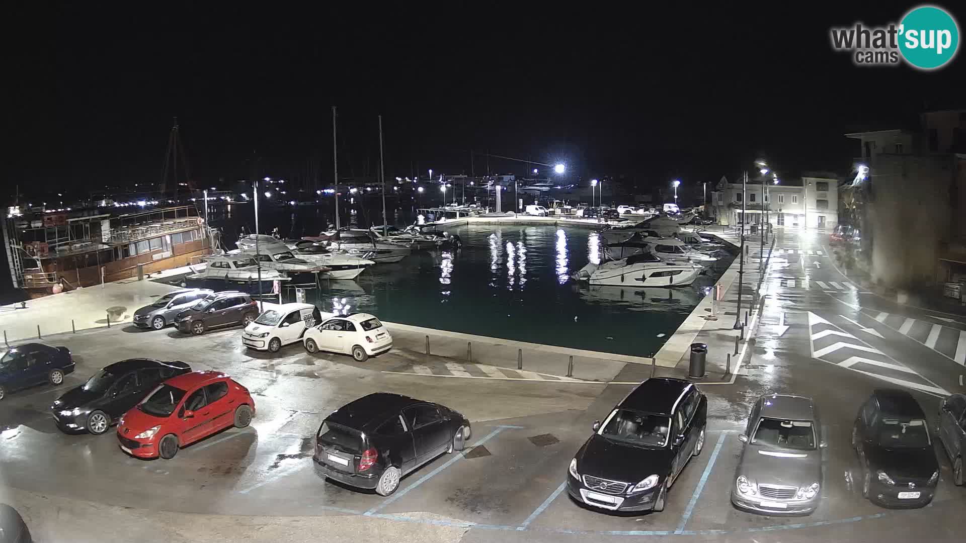 Novigrad | Porporela marina