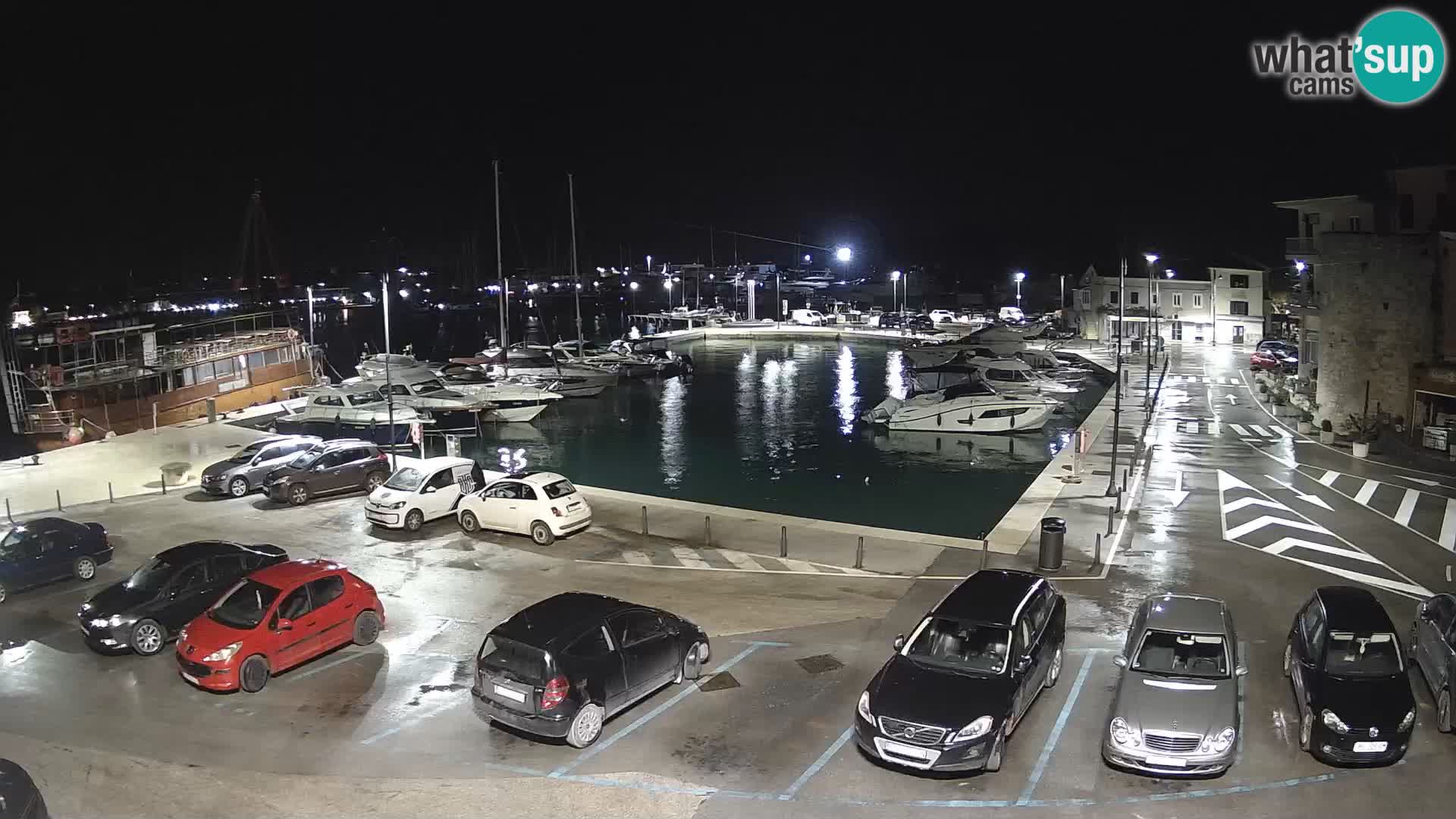 Novigrad | Porporela marina